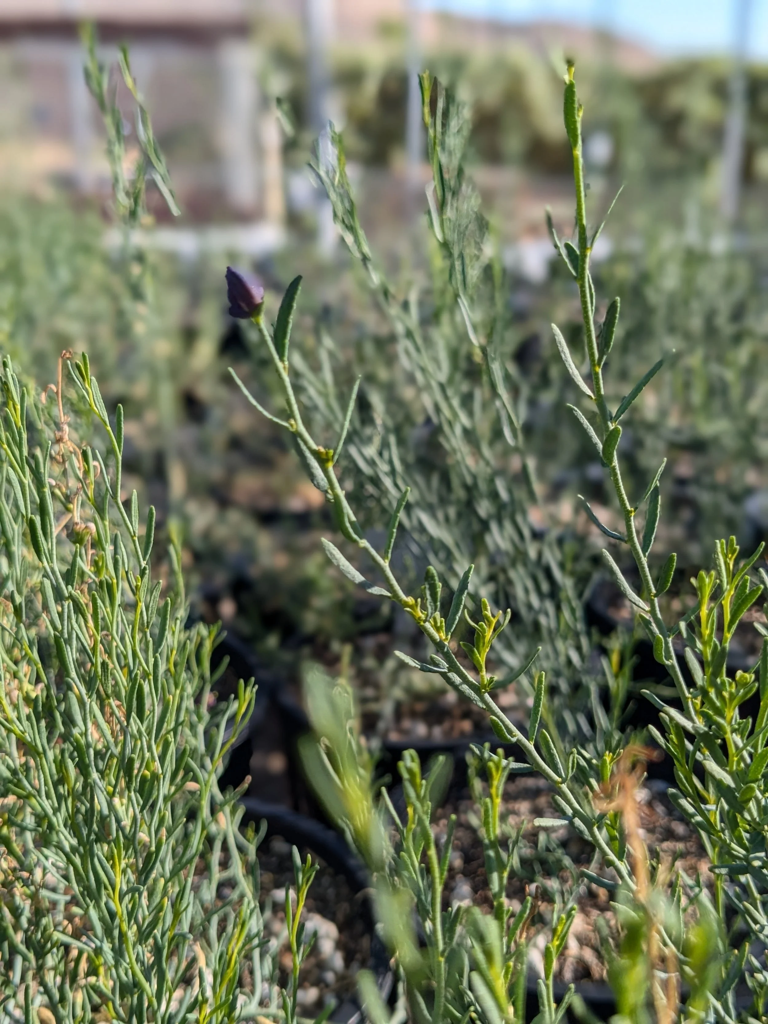 PXL_20240819_153711153.PORTRAIT (1).jpg