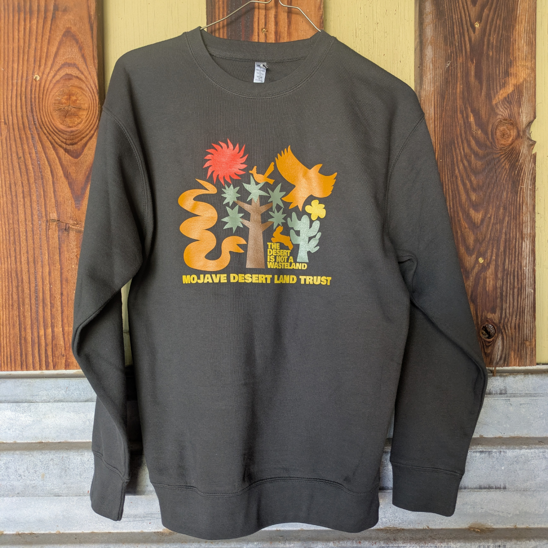 DINAW sweatshirt.png