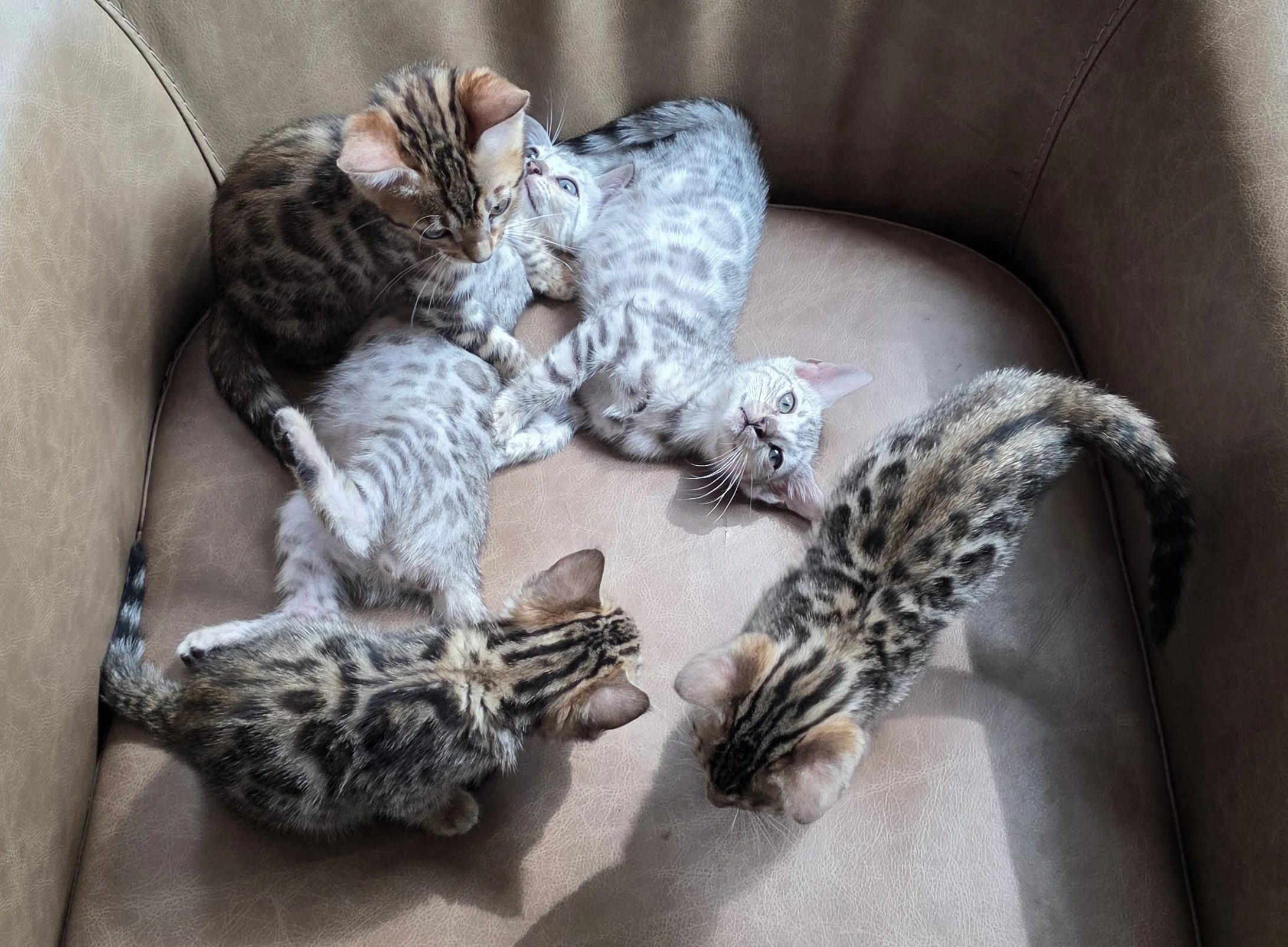 20260803_110650.jpg