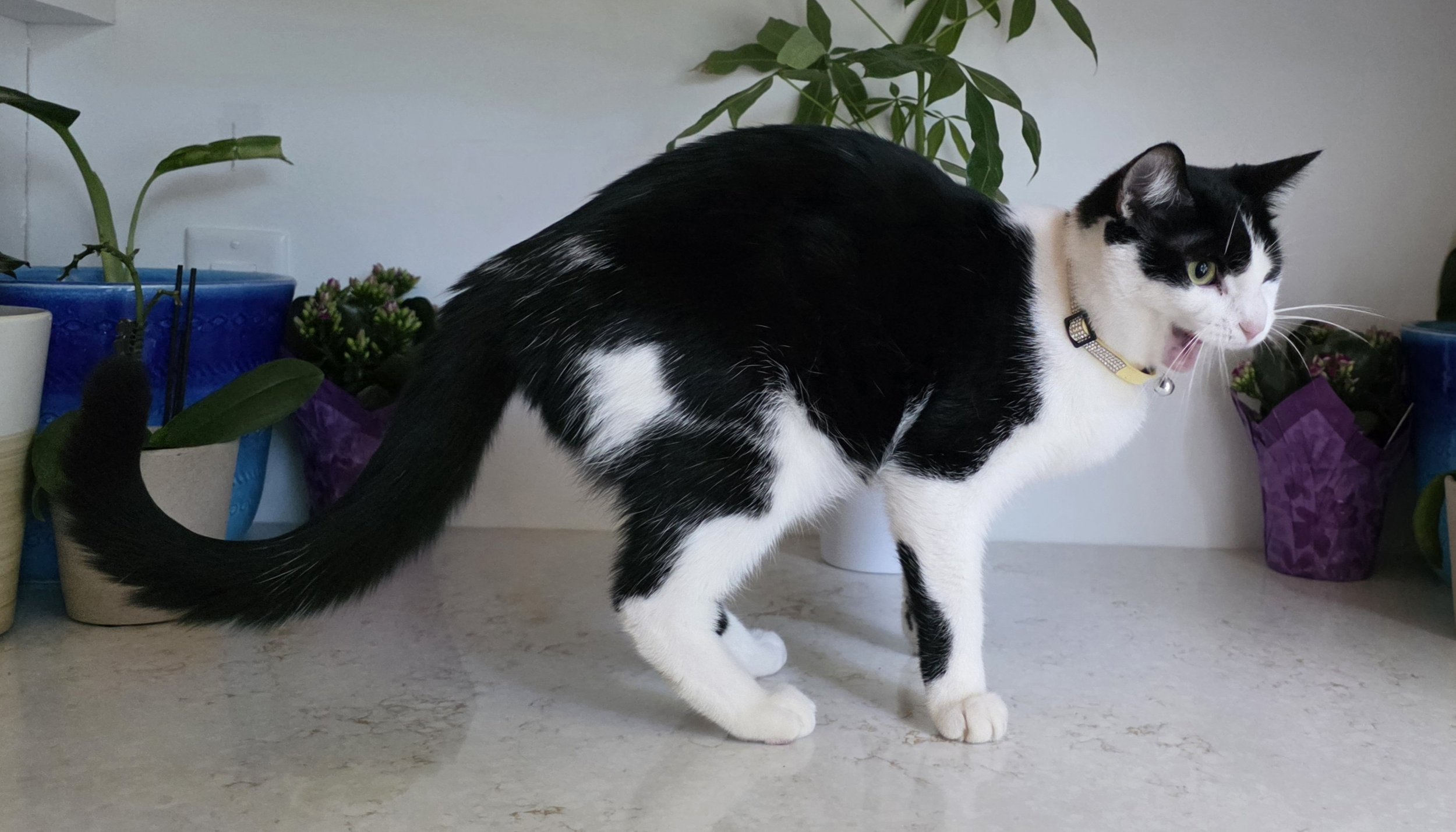 20260816_182316.jpg