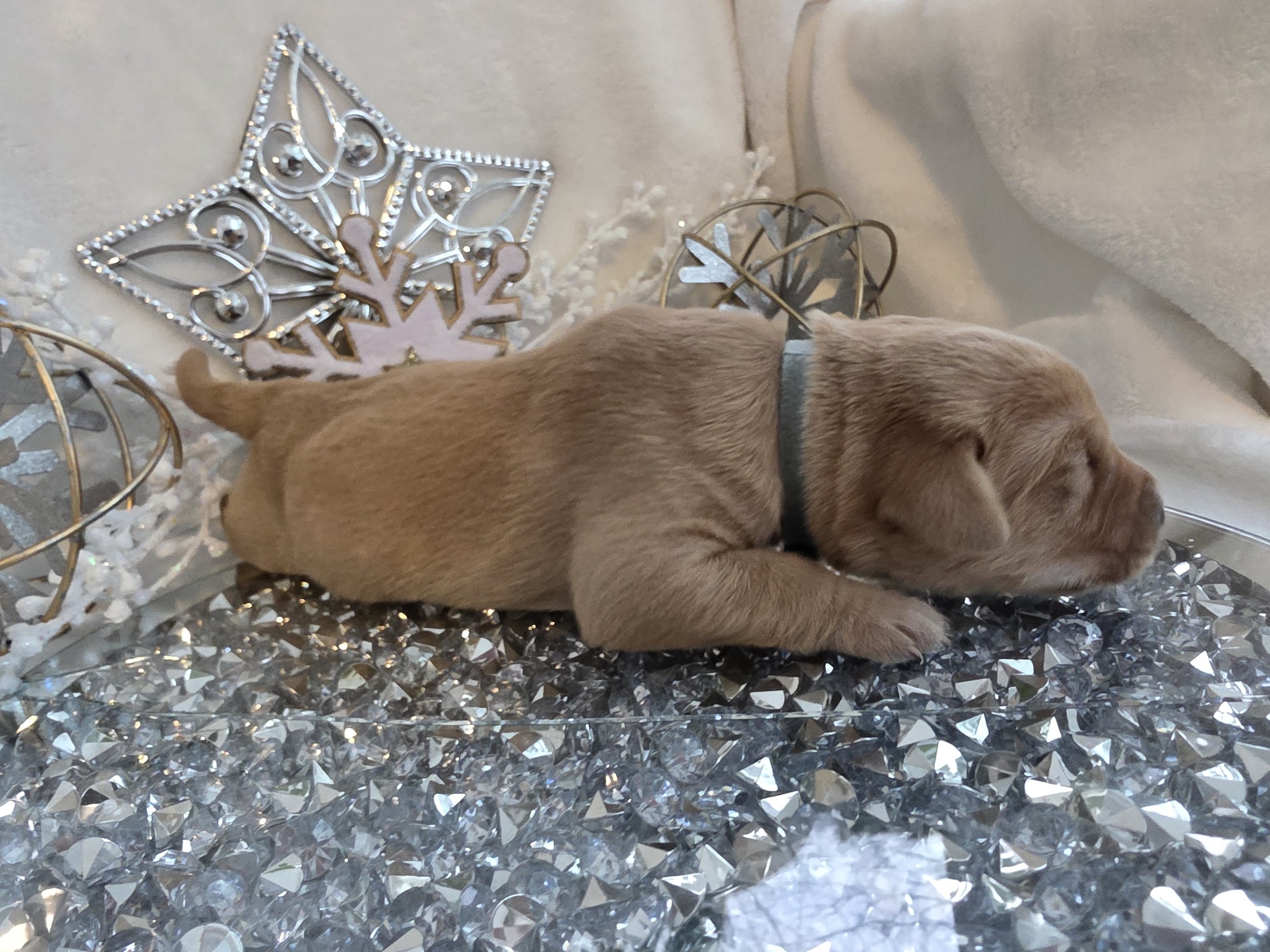20260104_152008.jpg