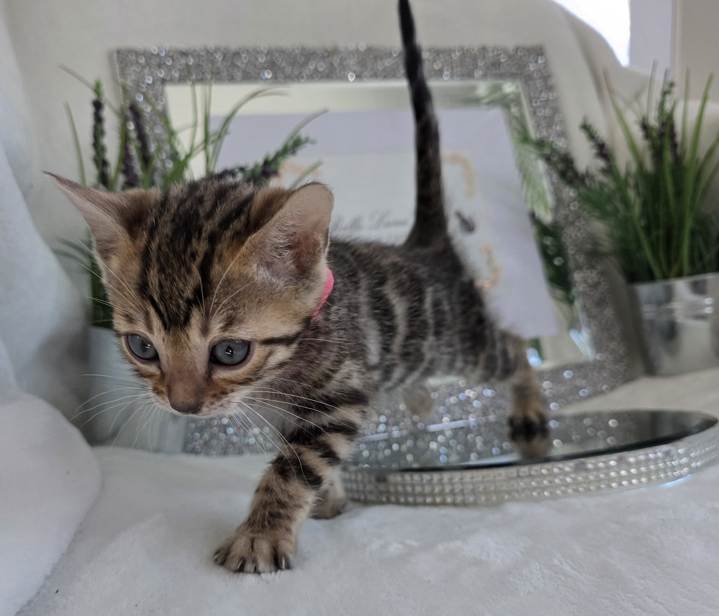 20260225_112215.jpg