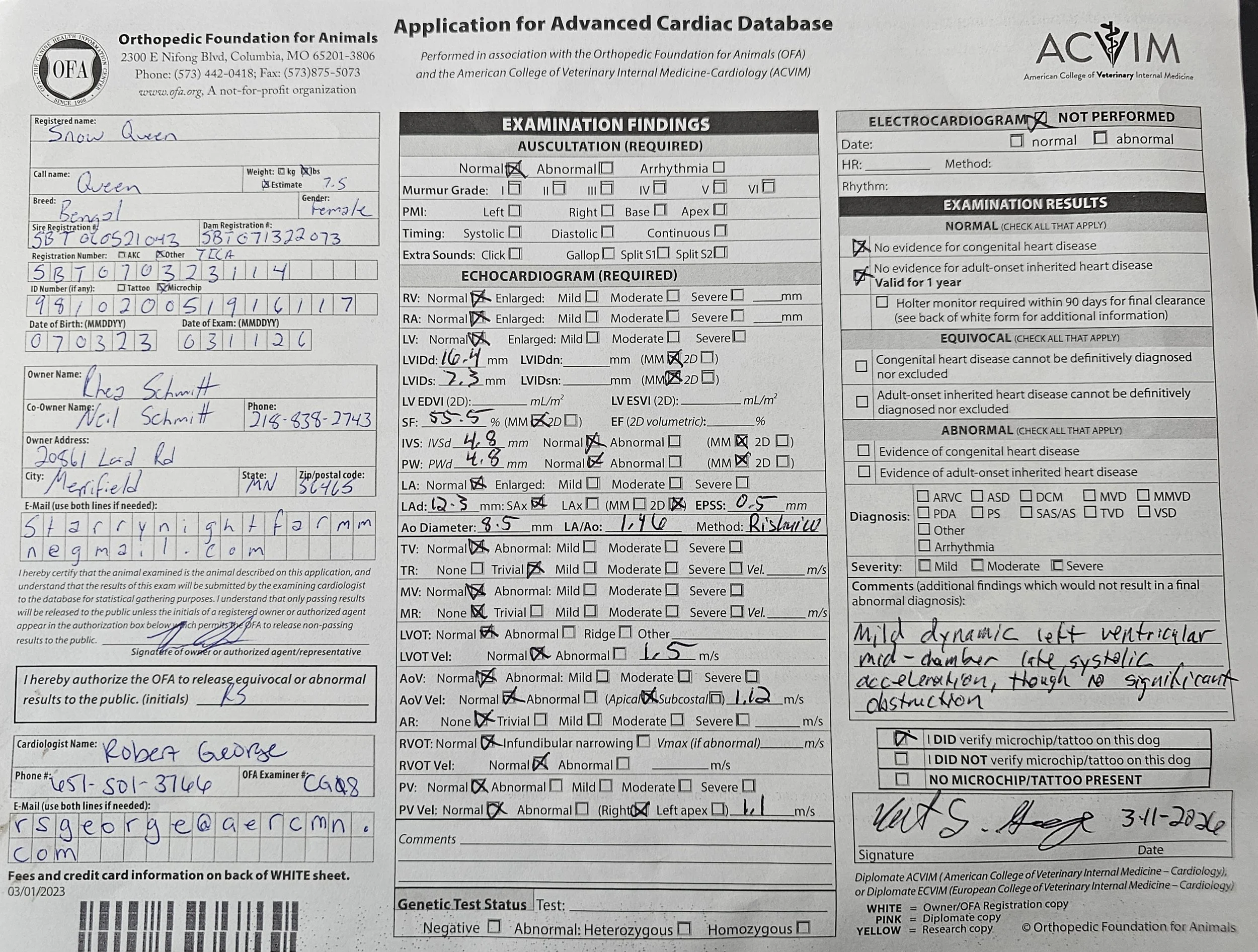 Feline OFA Cardiac Report