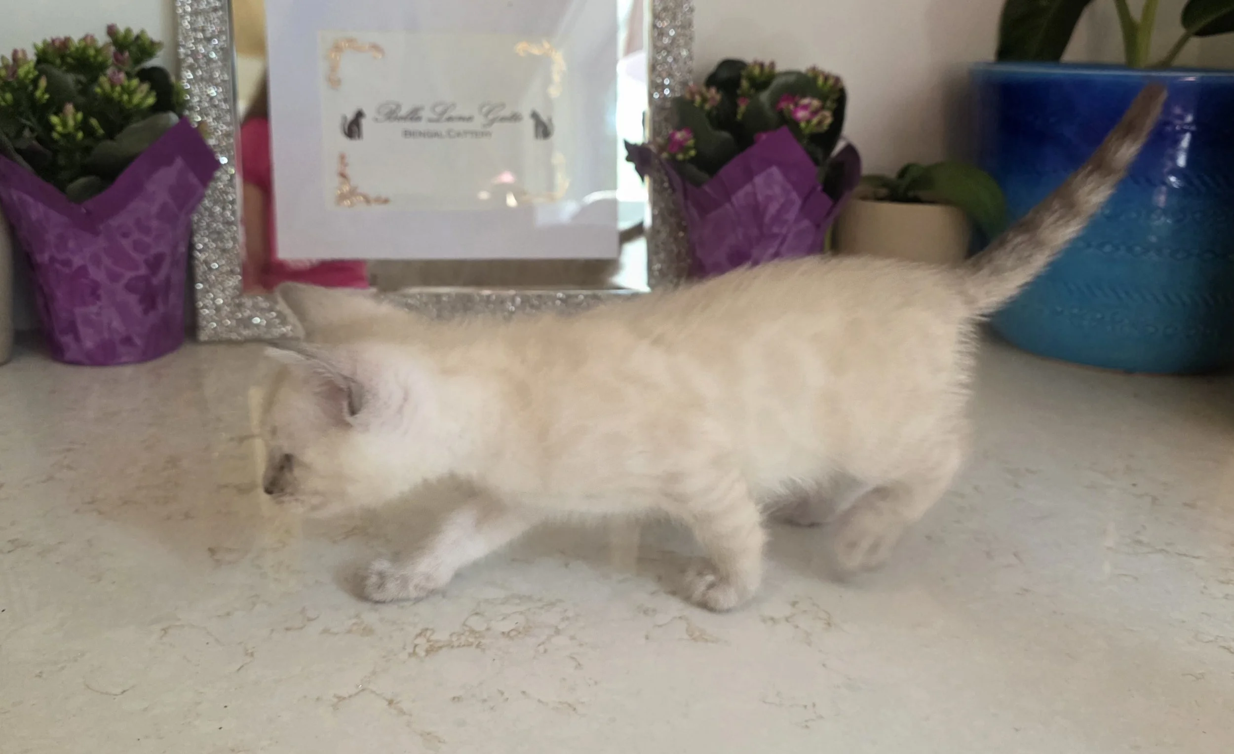 20260819_111734.jpg