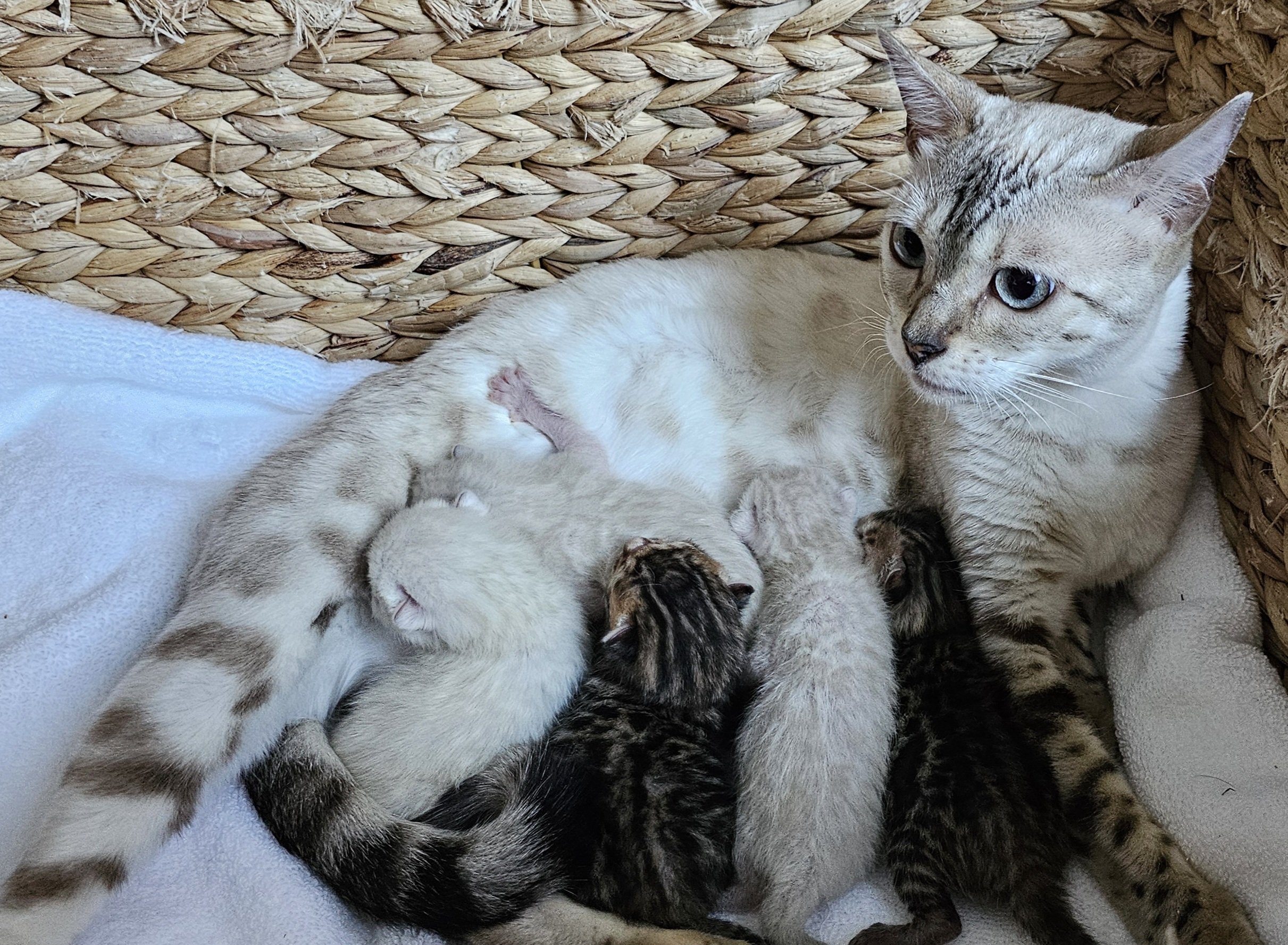 20240810_180234.jpg