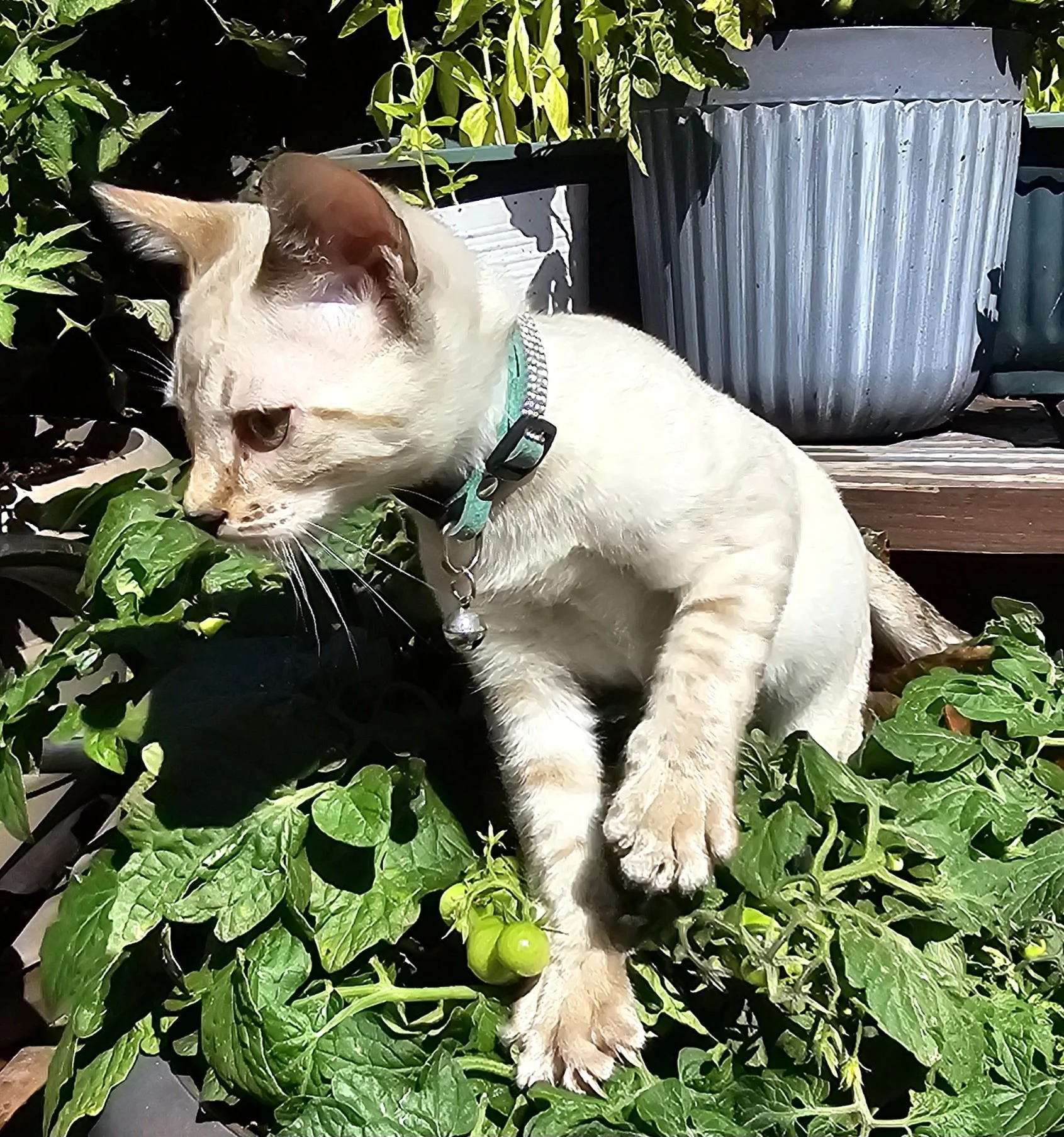 20230913_131133.jpg