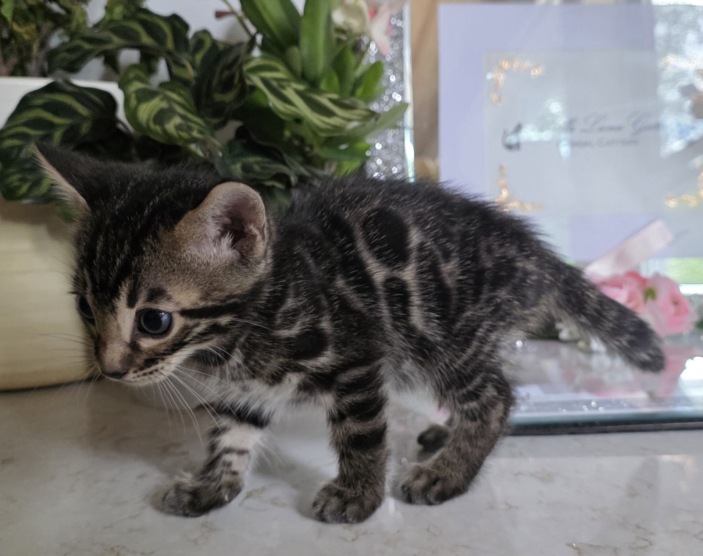 20260624_123212.jpg