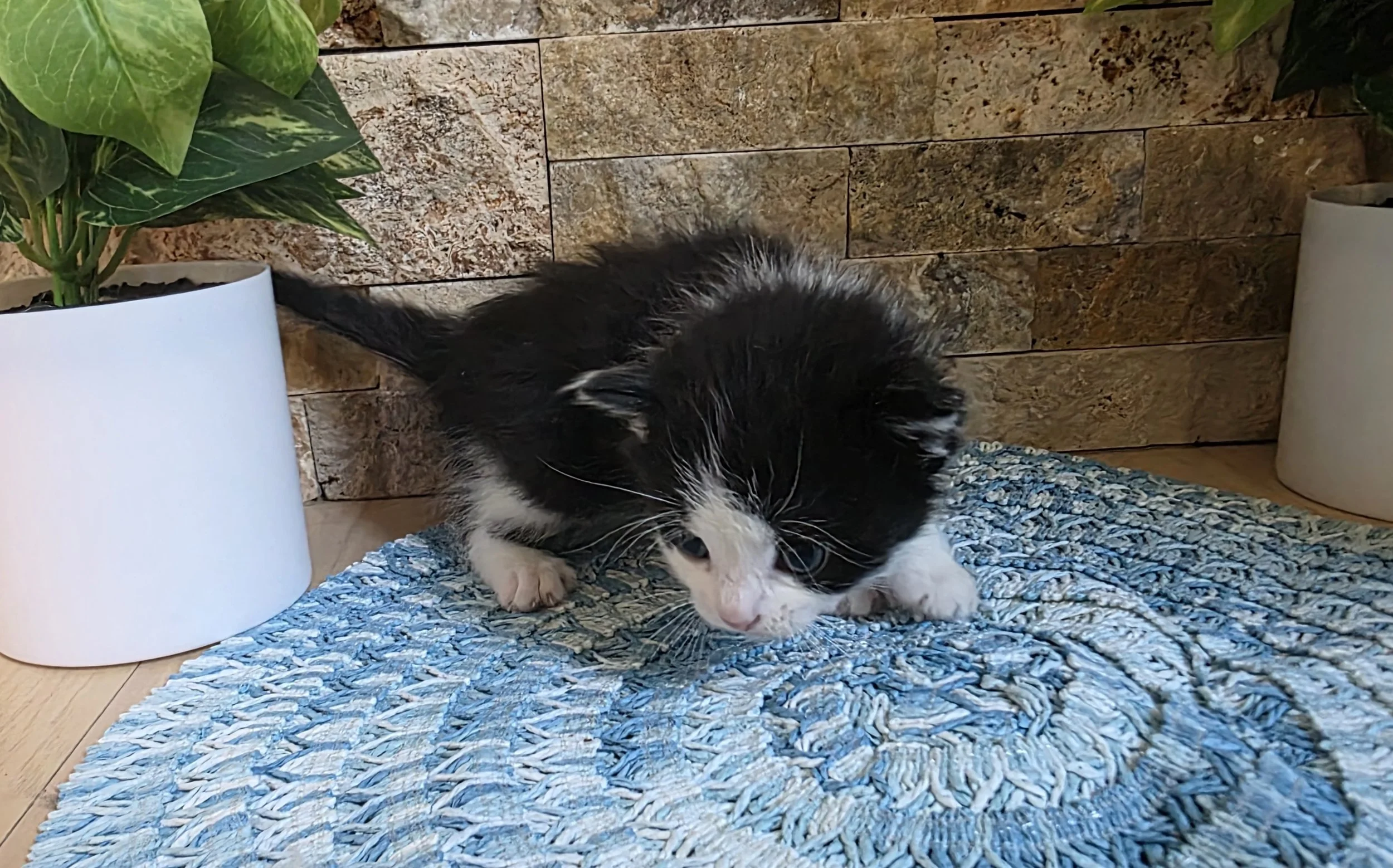 20250910_142413.jpg