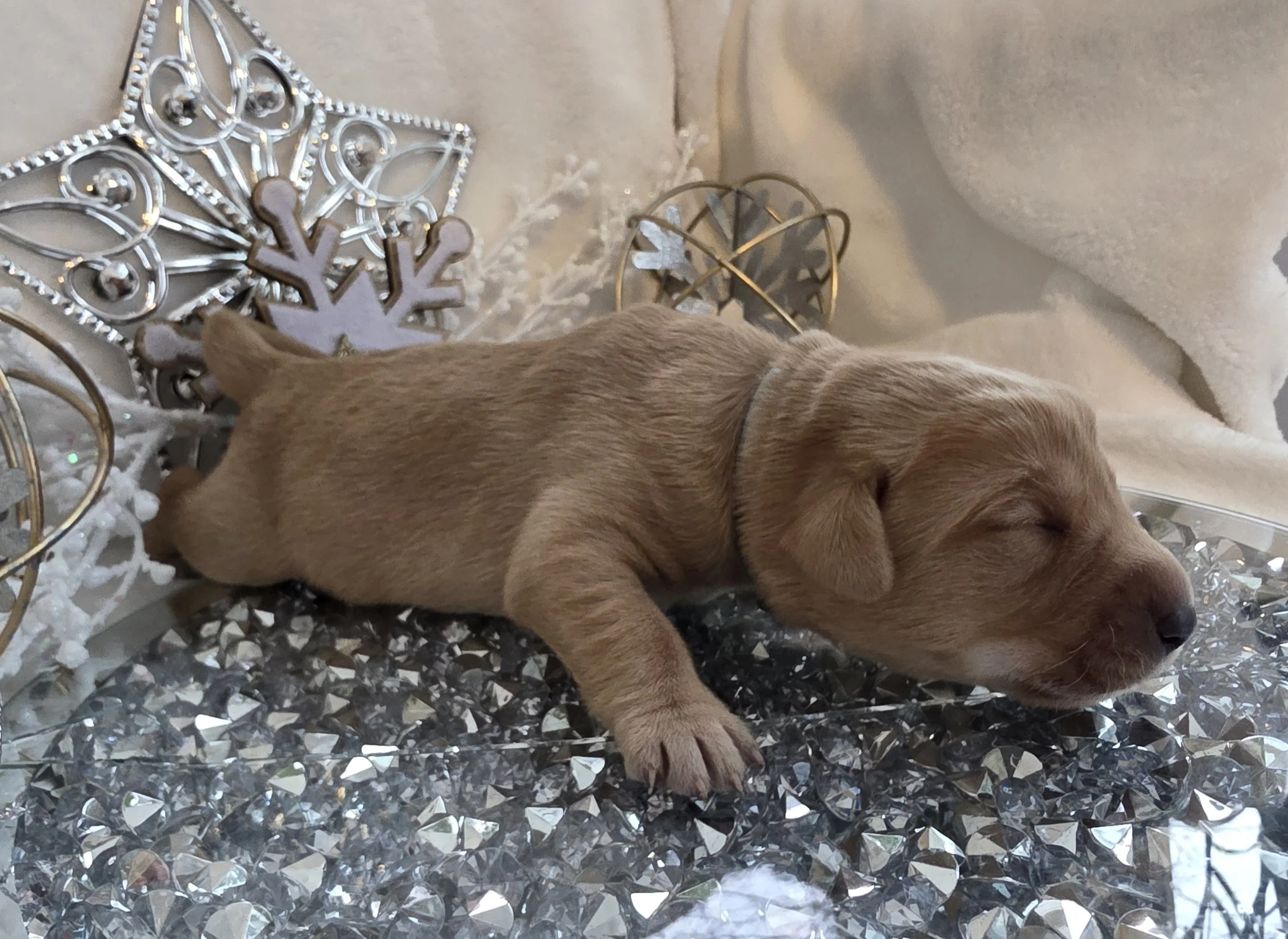 20260104_152001.jpg