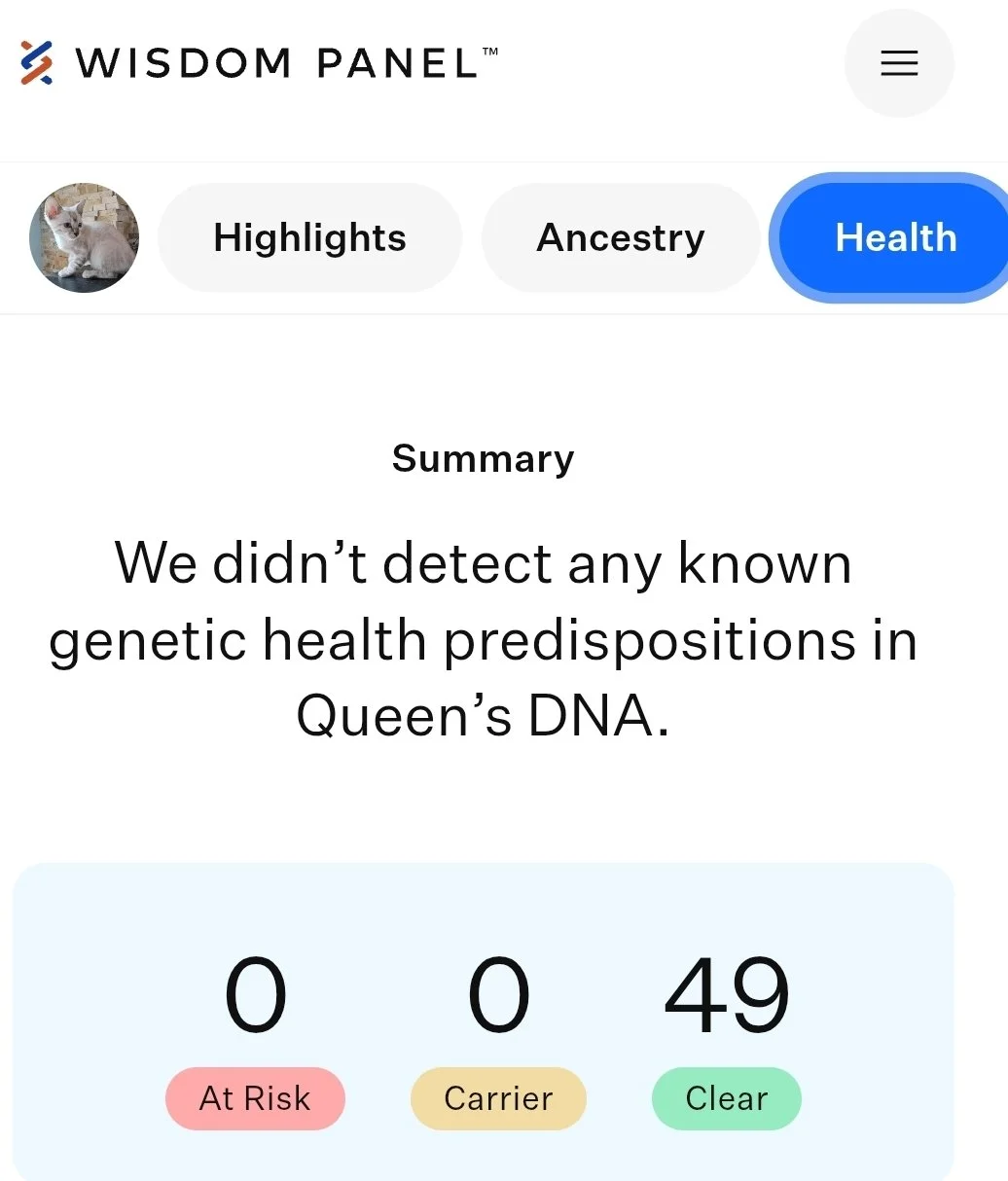 Wisdom Panel Bengal DNA Test