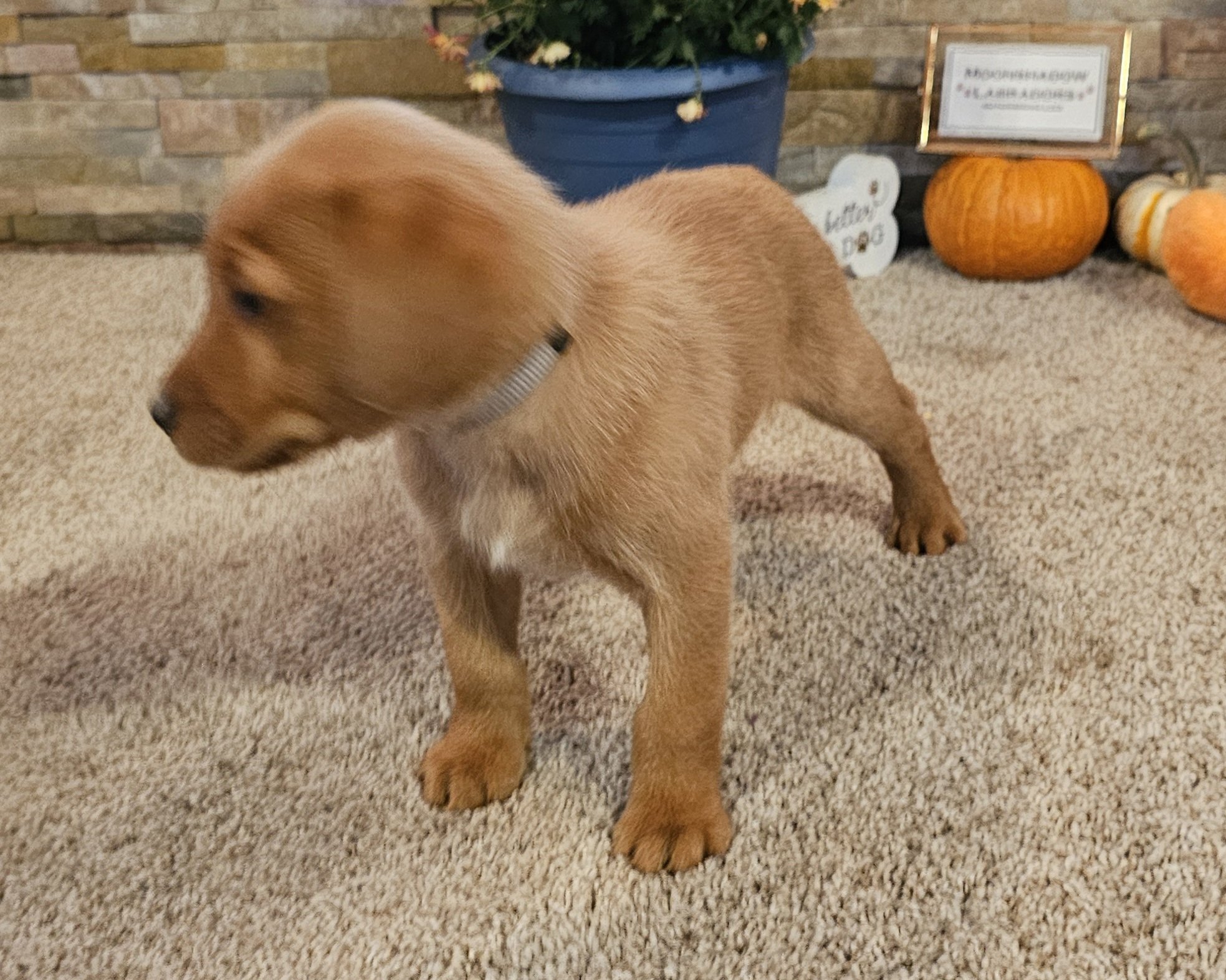 20241026_175236.jpg