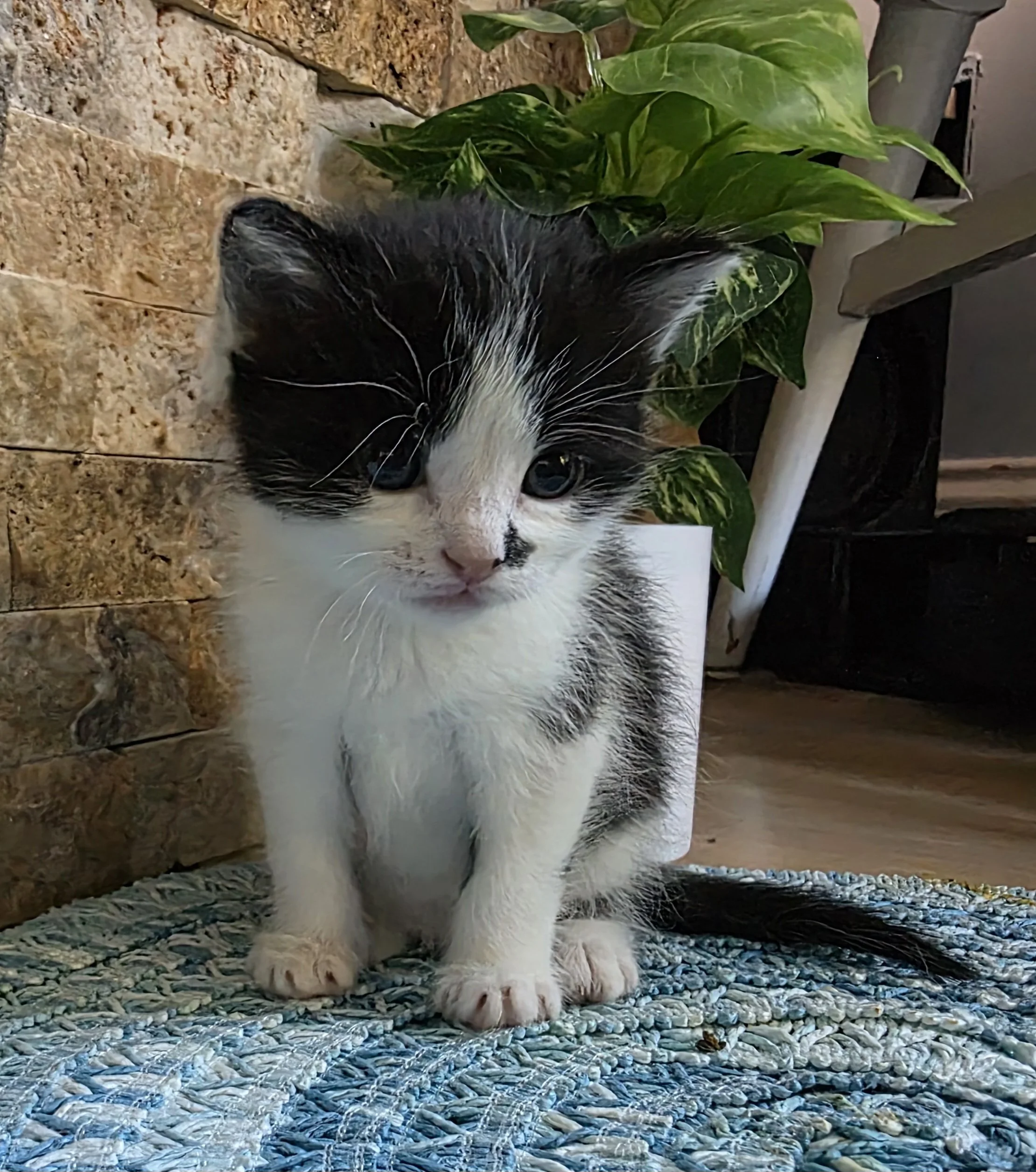 20250910_175500.jpg