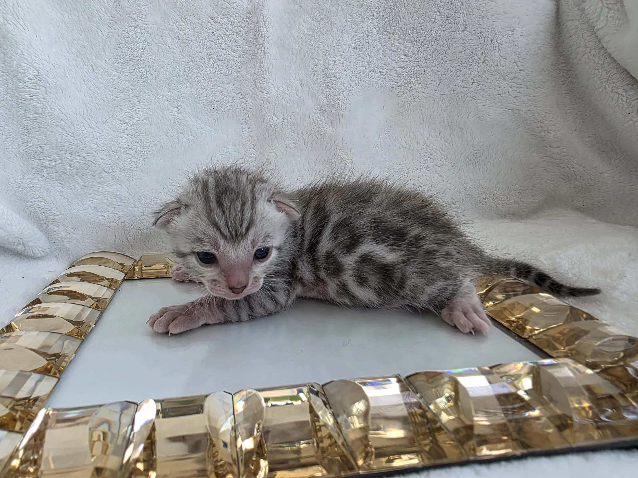 20260324_120749(0).jpg