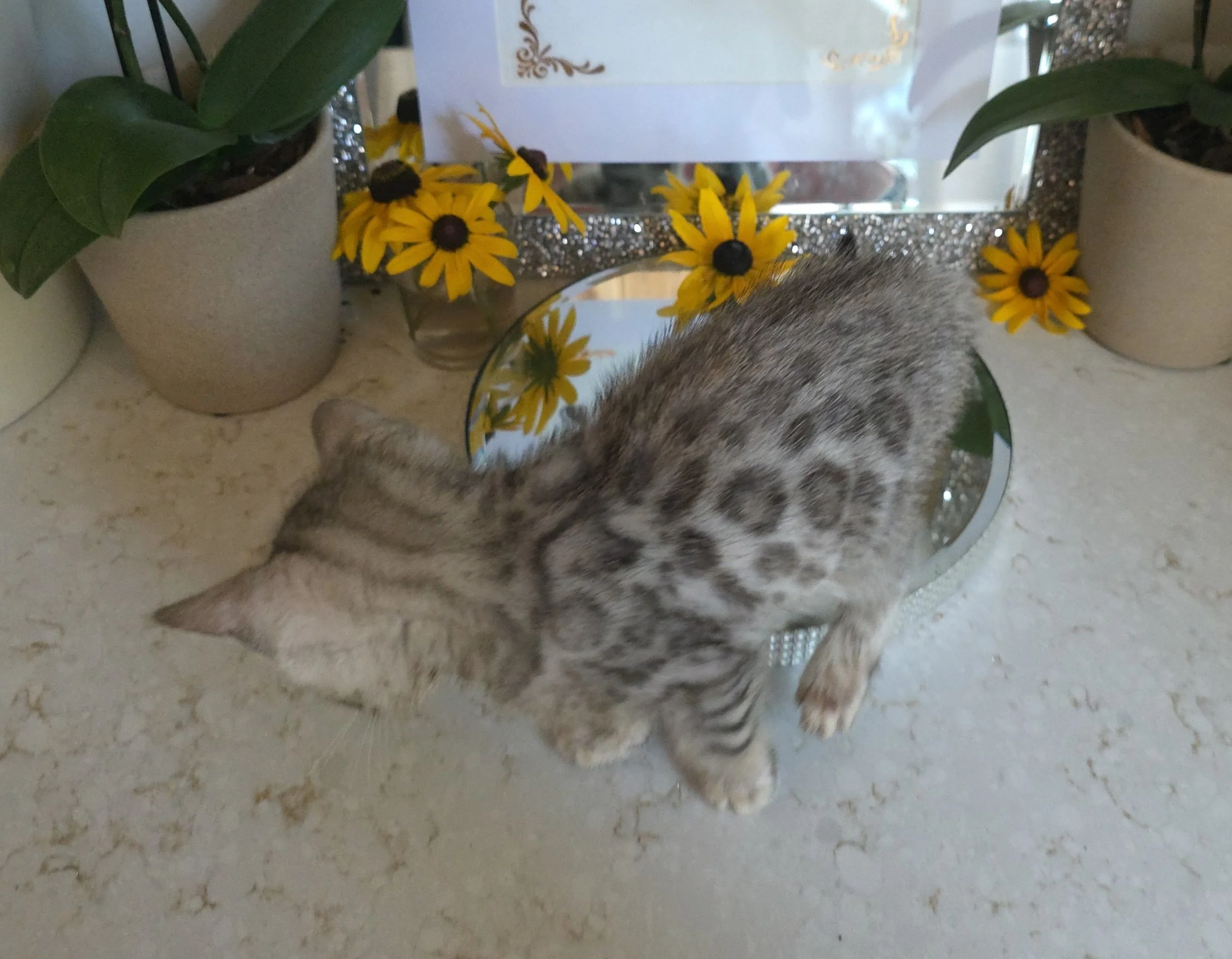 20260709_131358.jpg