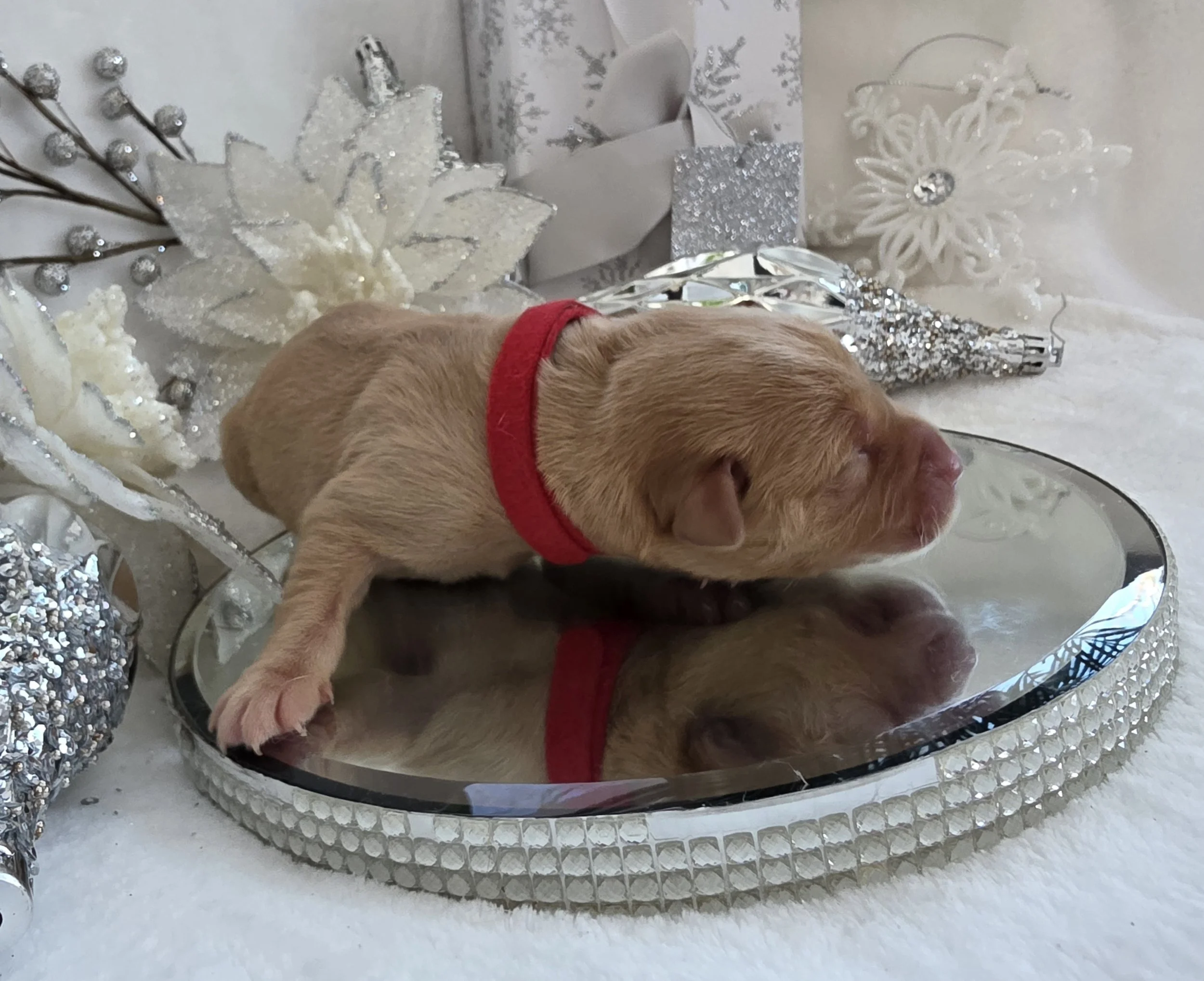 20251229_115807(0).jpg