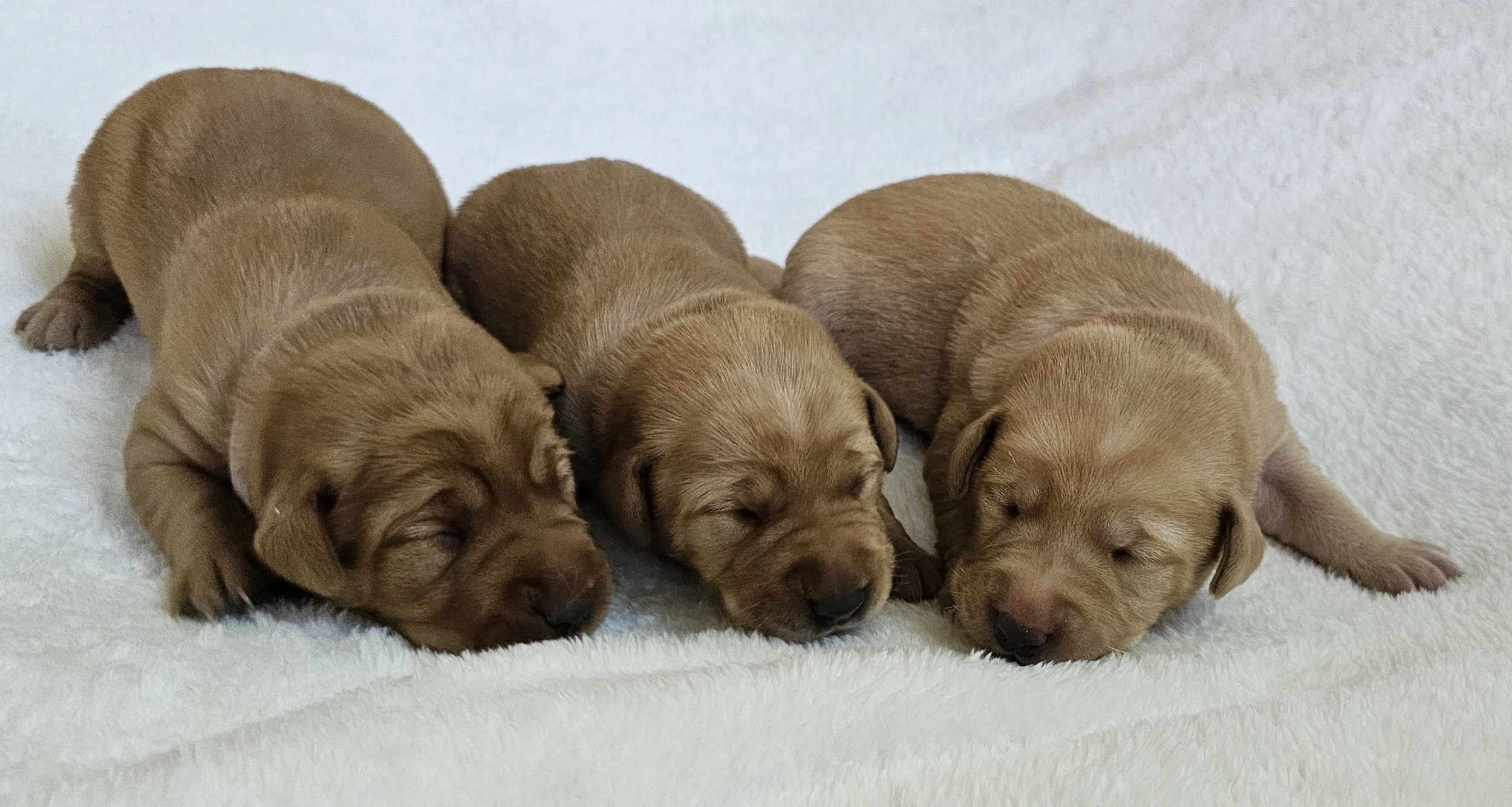 20240913_113002.jpg