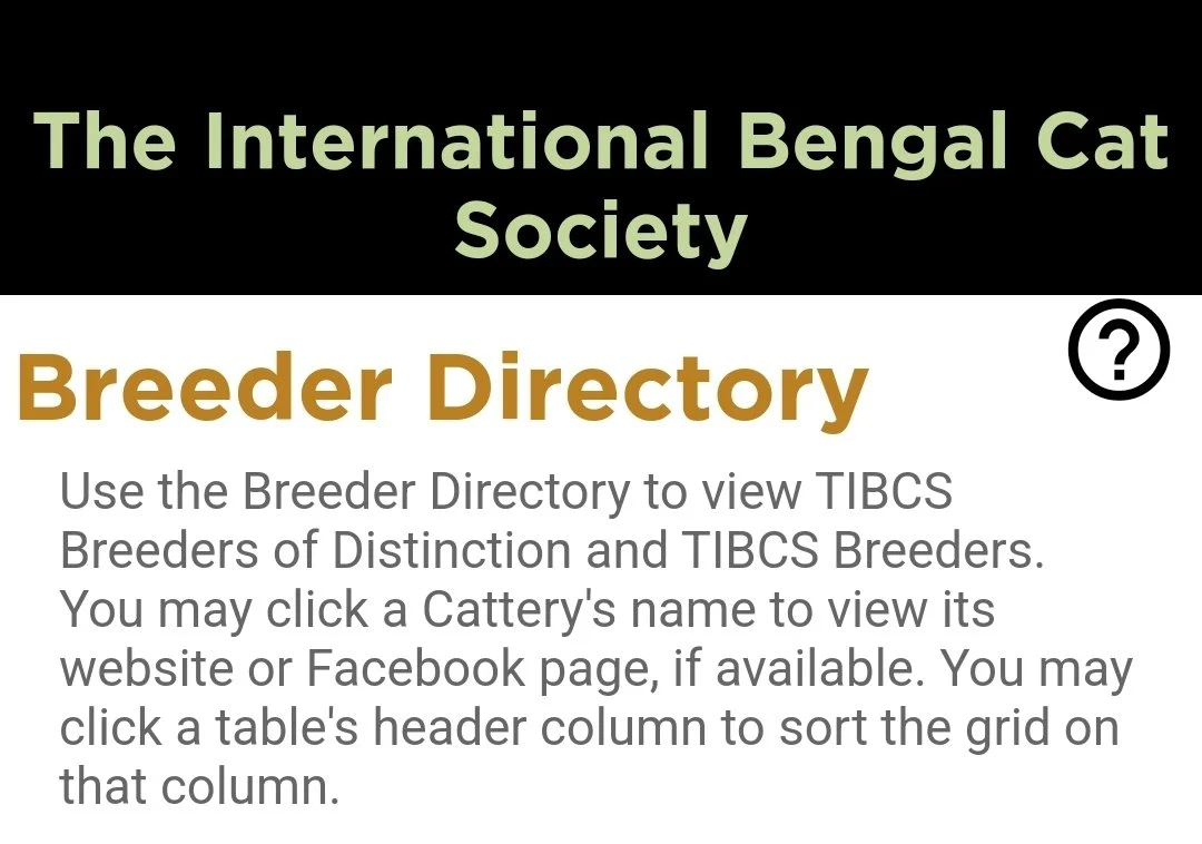 The International Bengal Cat Society - Breeder Directory