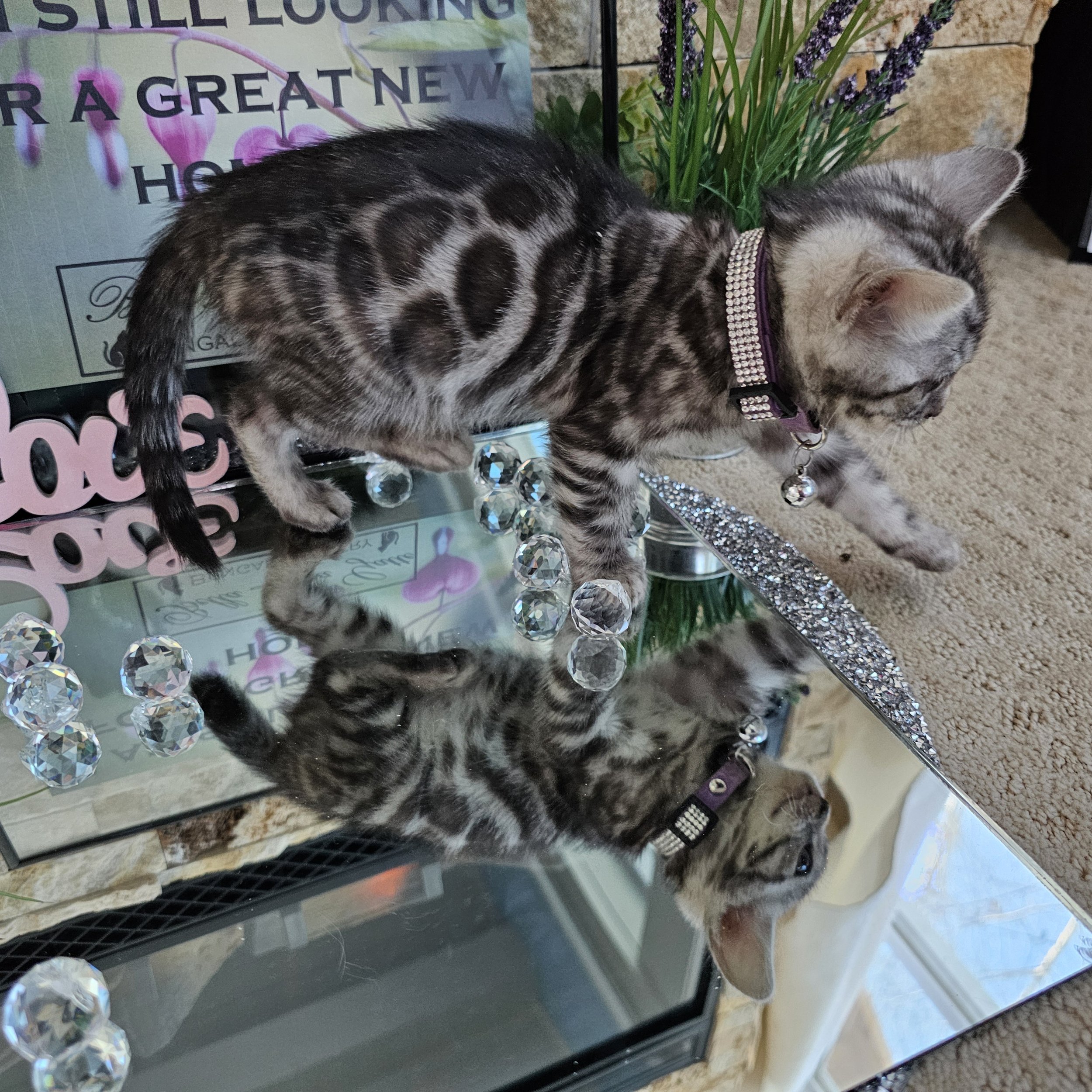 20240120_142317.jpg