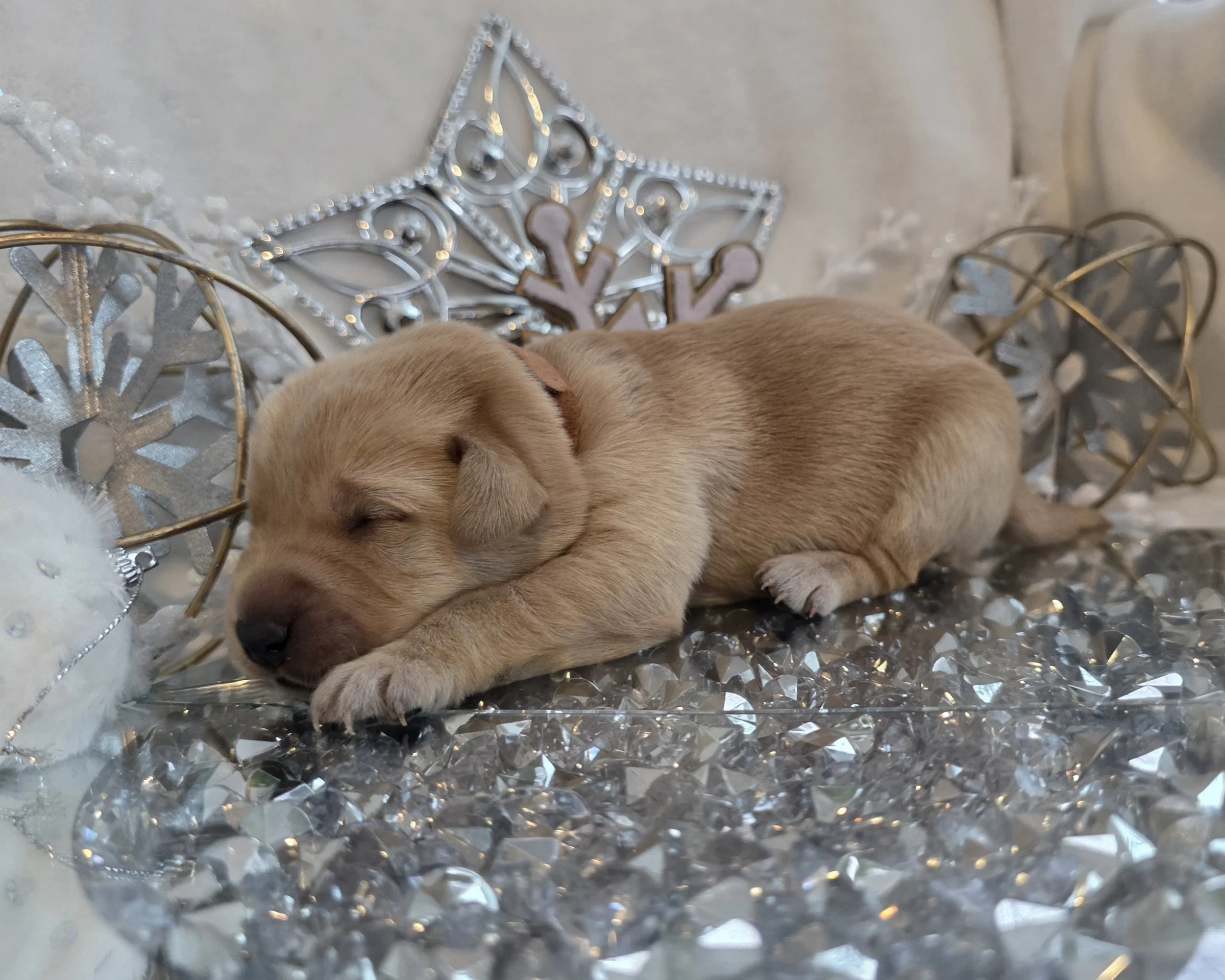 20260104_151624.jpg