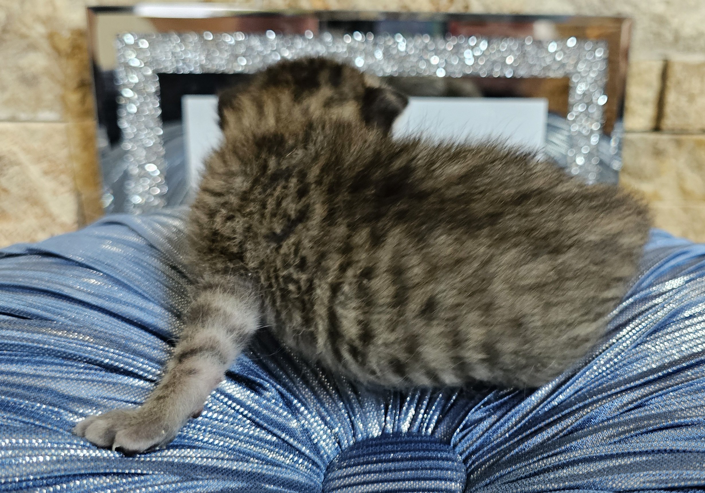 20240904_162619.jpg