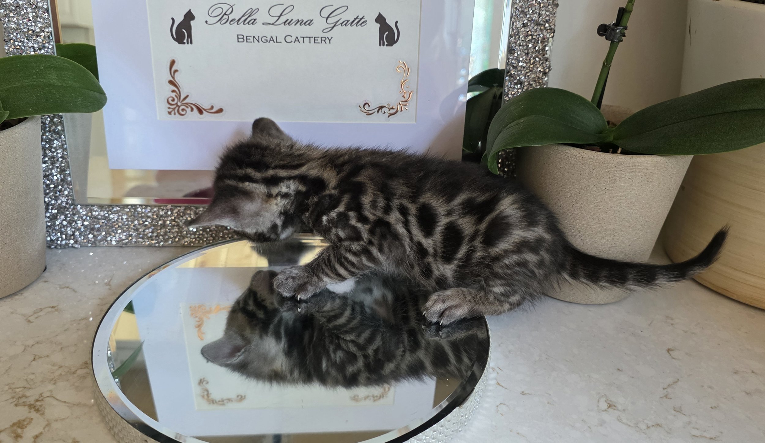 20260804_151612.jpg