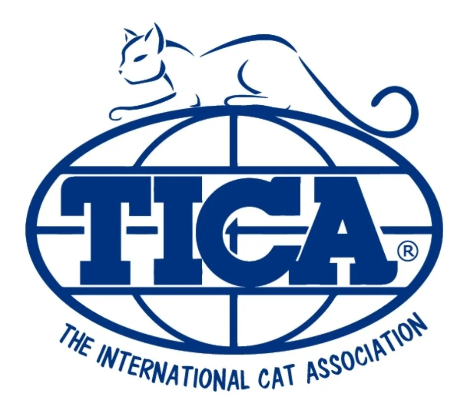 TICA The International Cat Association