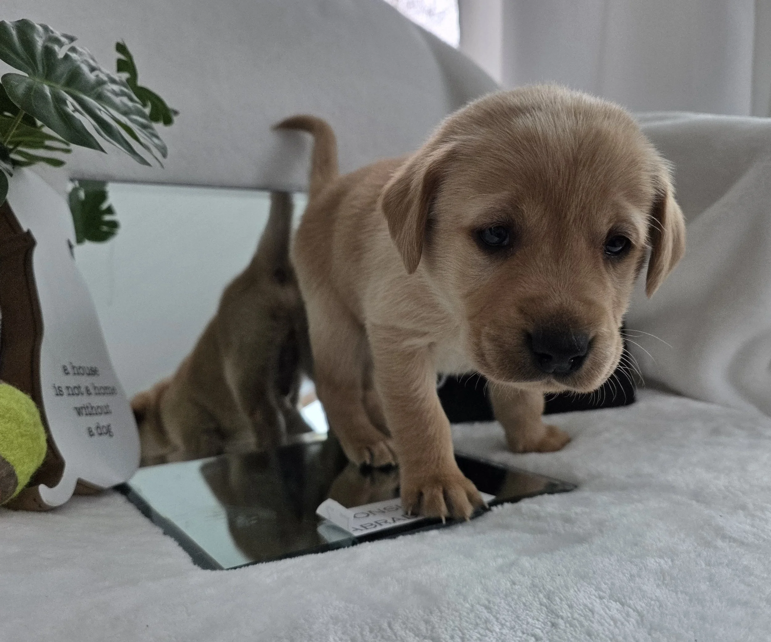 20260126_141316(0).jpg