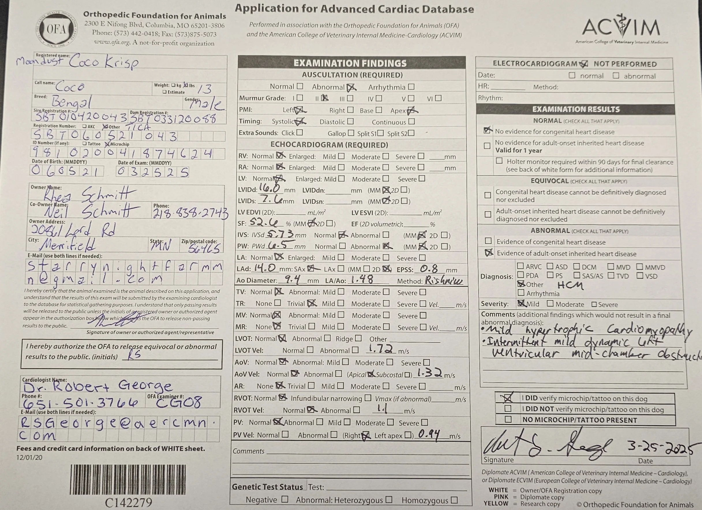 Feline OFA Cardiac Evaluation