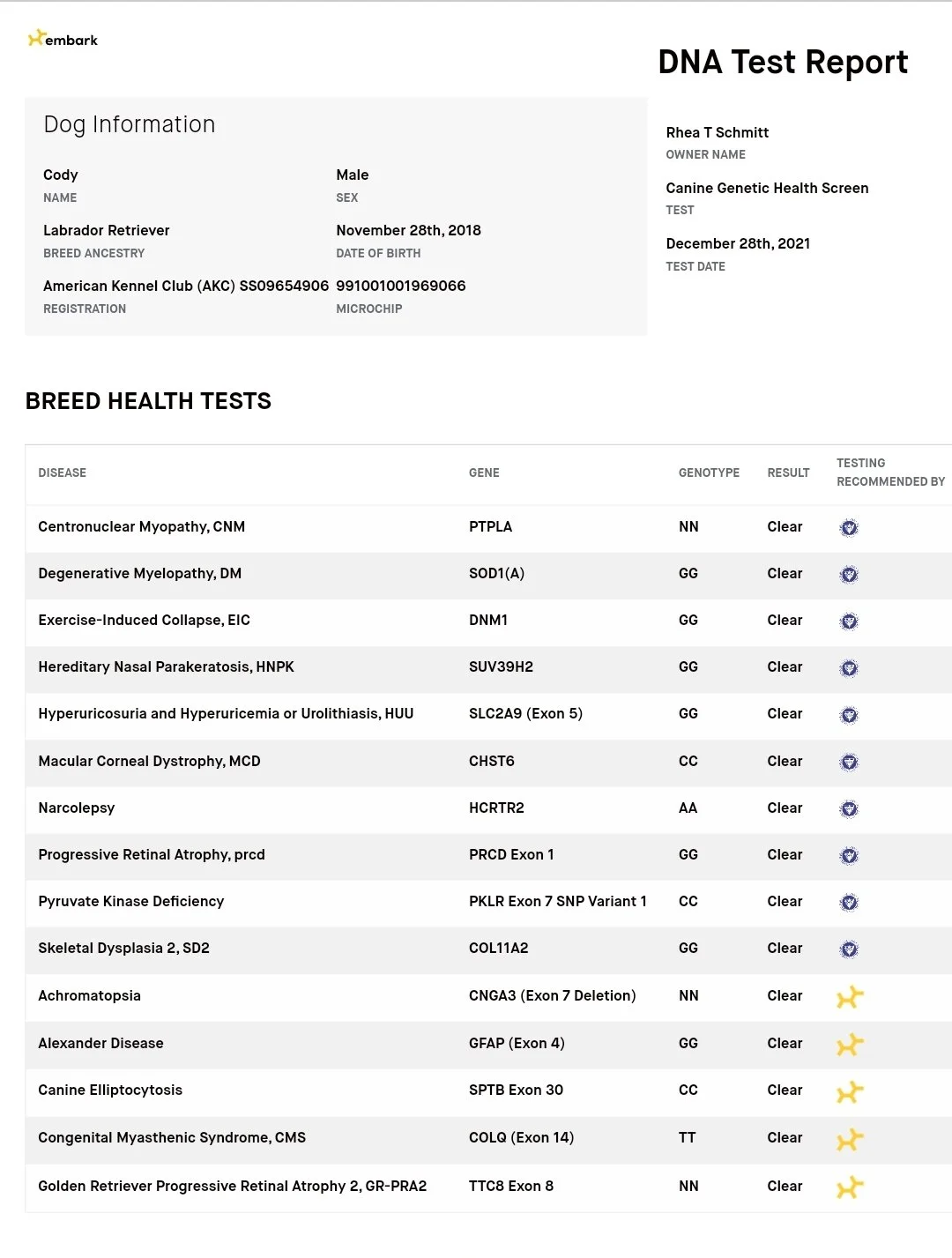 Health and DNA tested Male Labrador Retriever in Minnesota