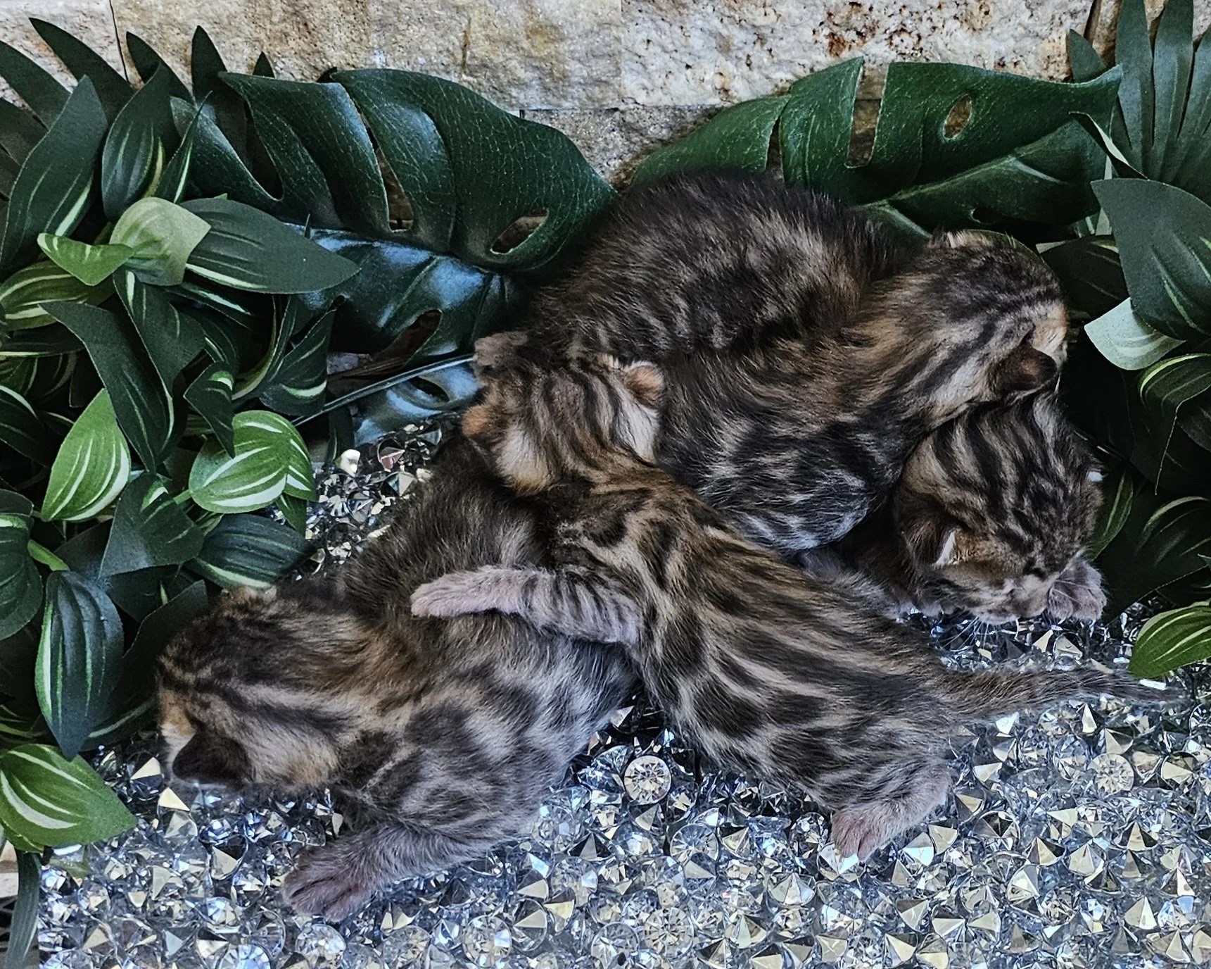 20240509_122512.jpg