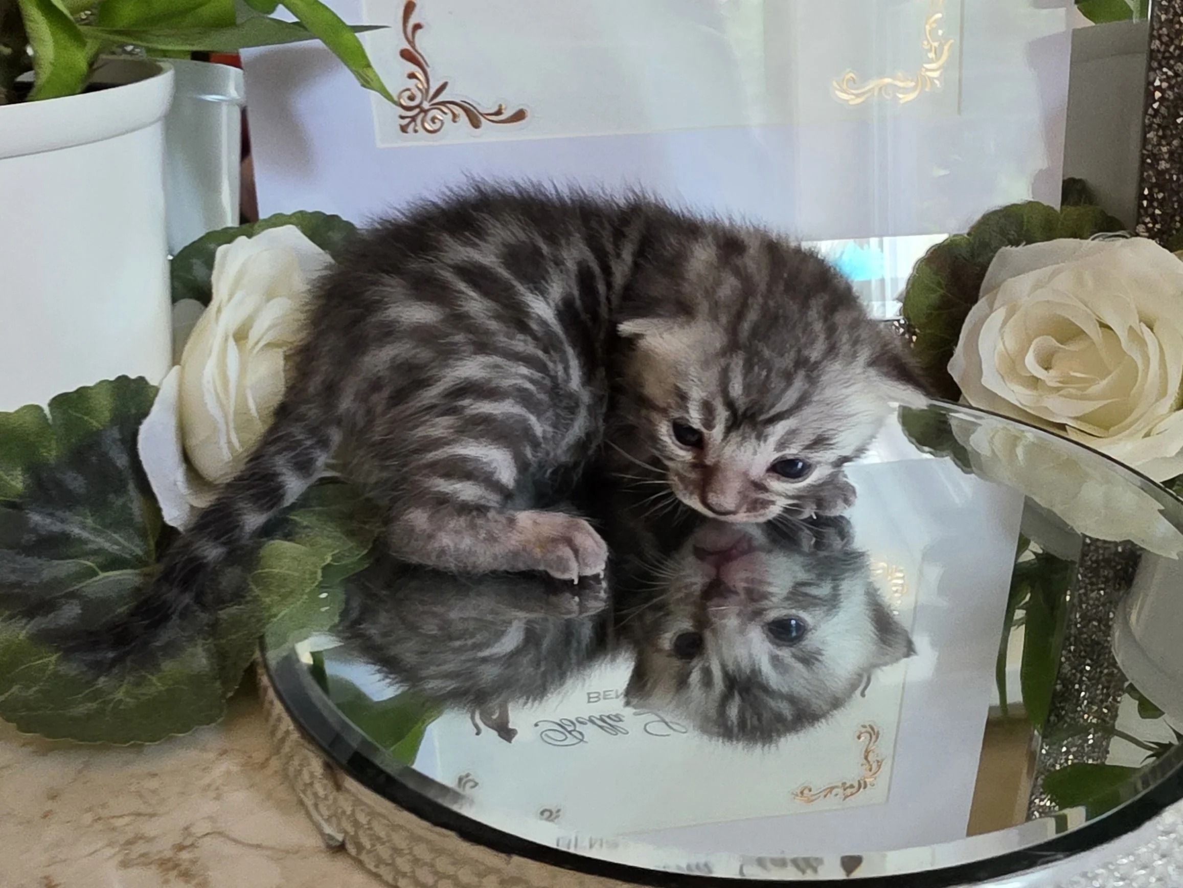 20260721_120225.jpg