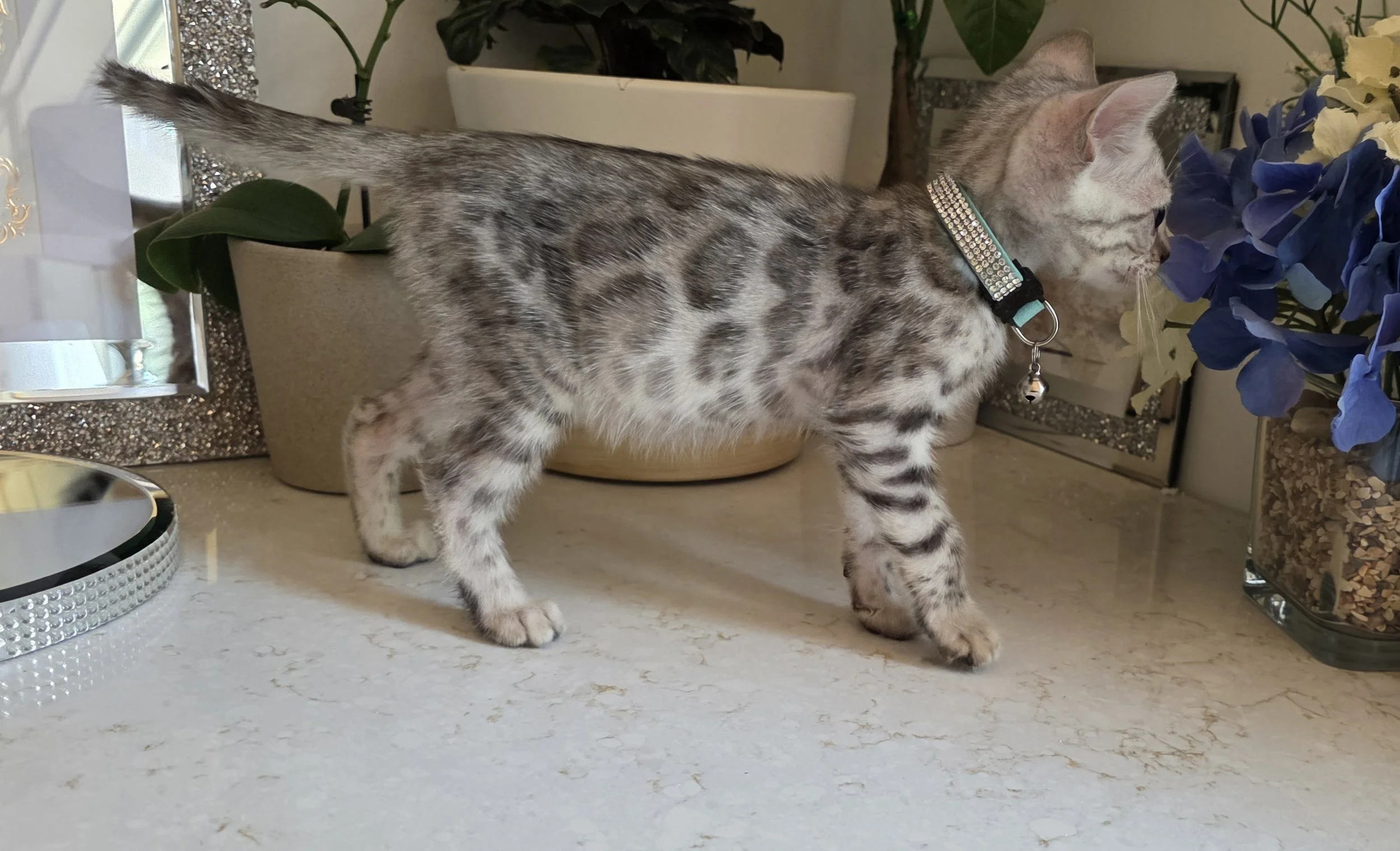 20260803_141615.jpg