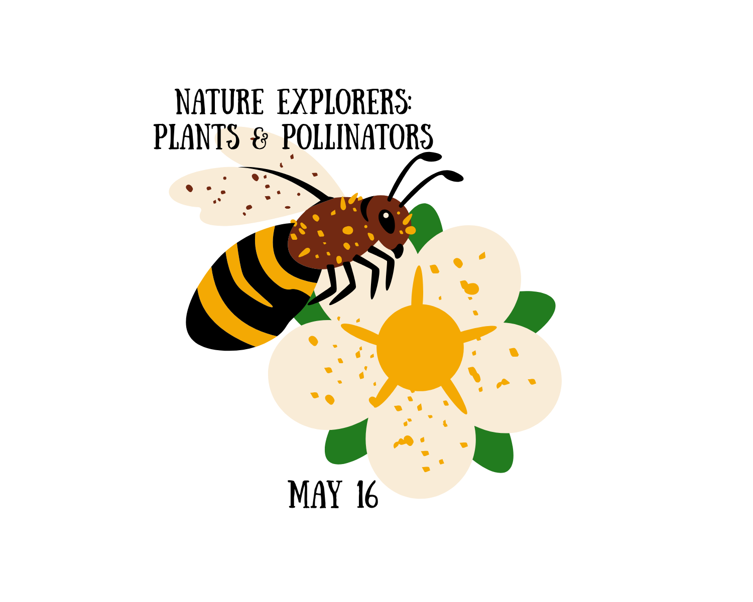 Plants and Pollinators: A Nature Explorers Program