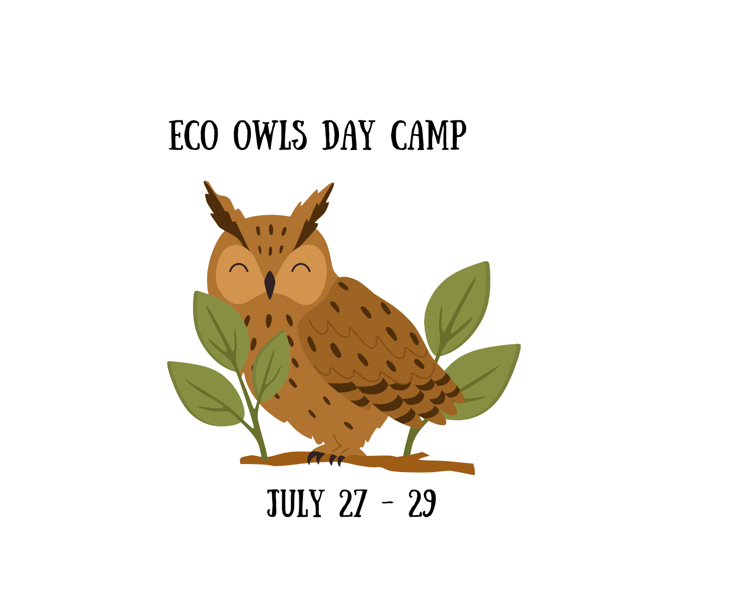 Eco Owls Day Camp