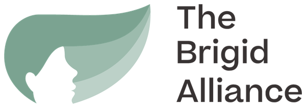 The Bridg Alliance Logo.png