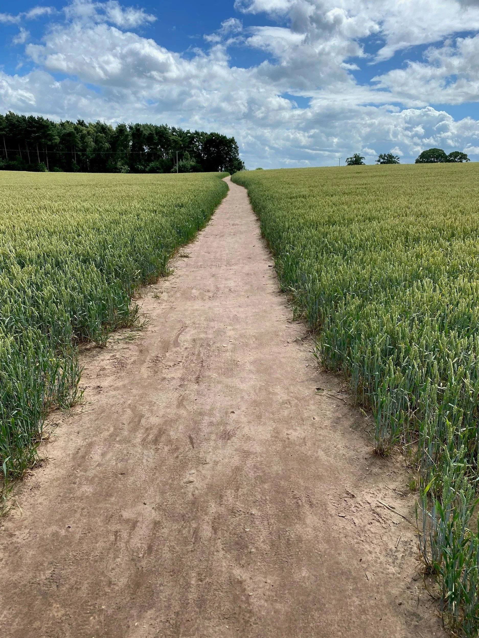A dirt path running through green fields under a partly cloudy blue sky with some trees in the background.