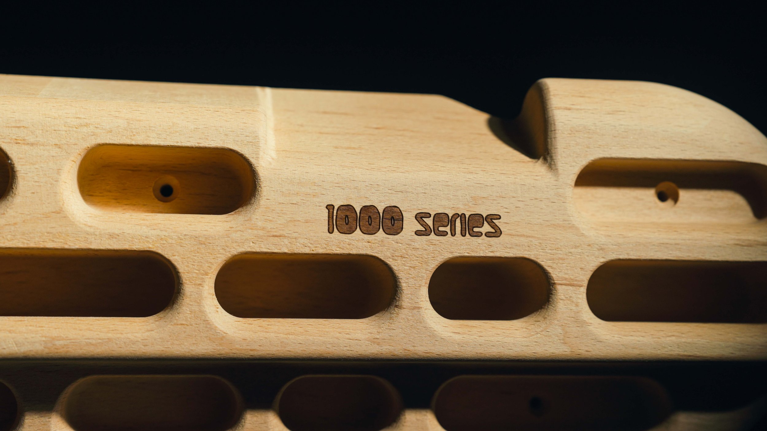 Beastmaker 1000 Beech Detail 1000 Series.jpg