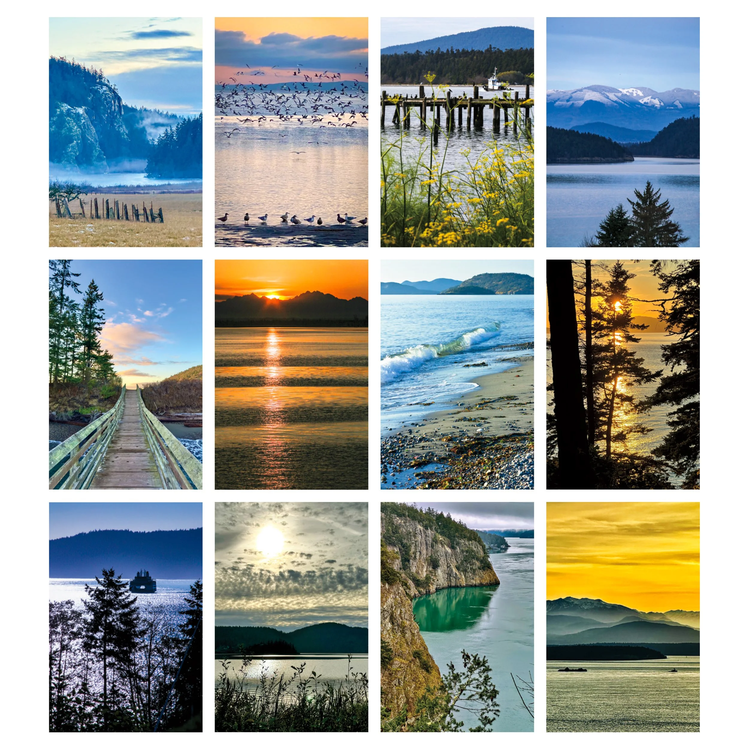 2026-Salish-Sea-12-images.jpg