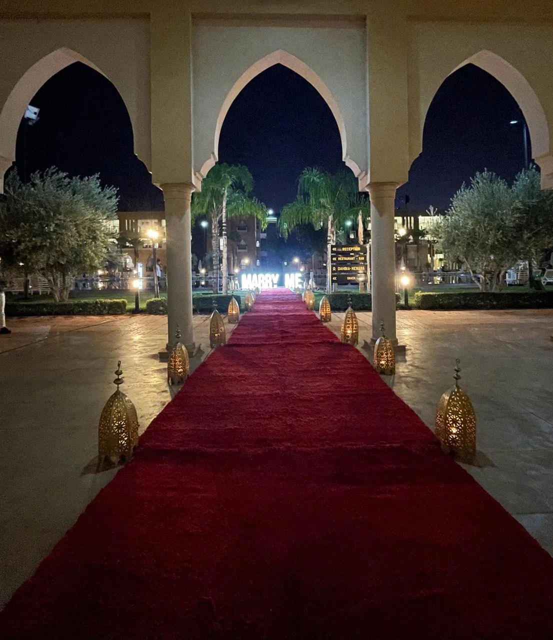 WhatsApp Image 2024-03-29 at 21.14.11.jpeg