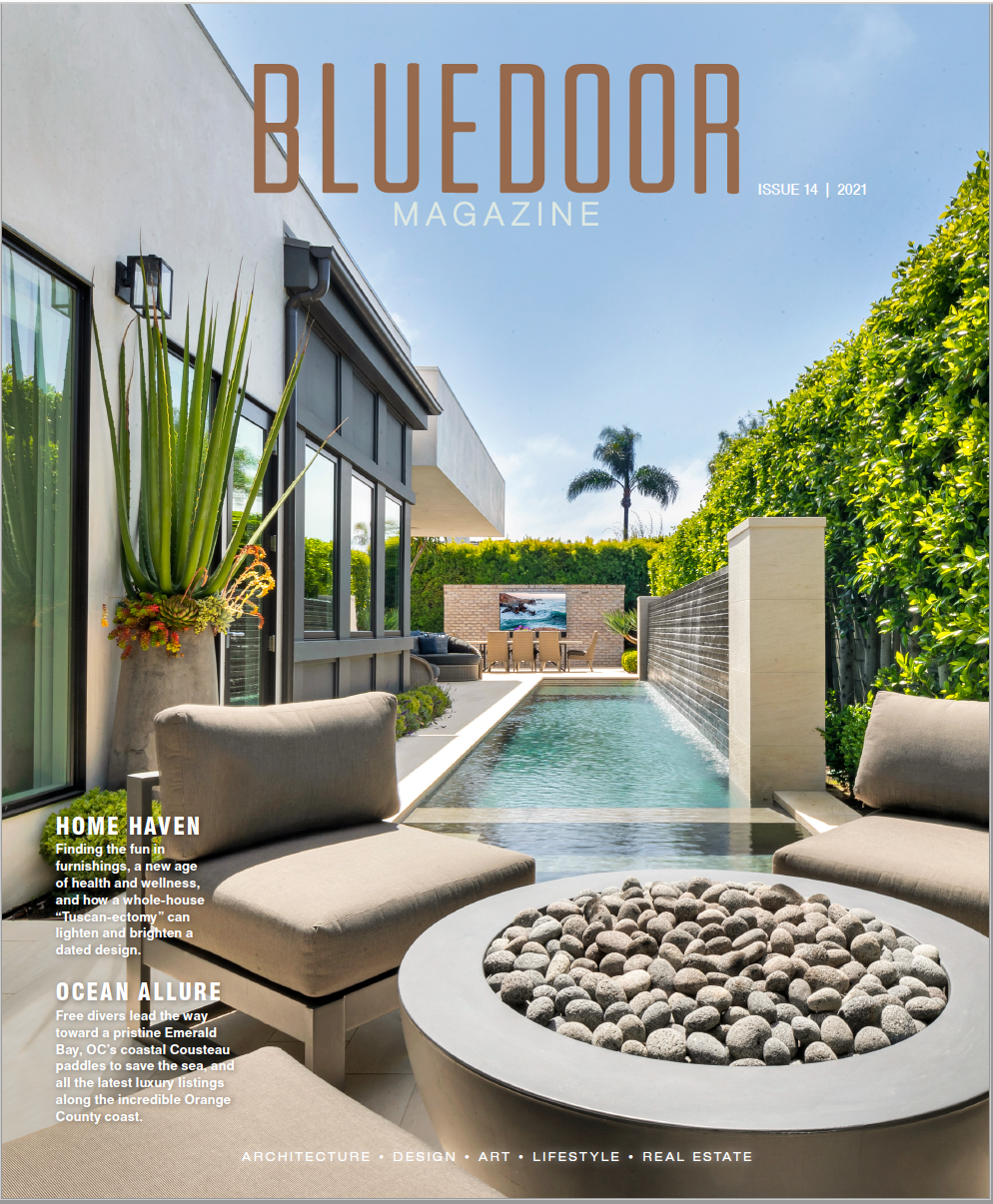 Blue Door Issue 14 2021 Cover.png