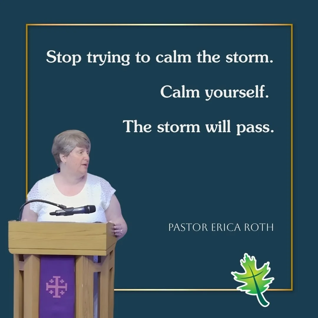 Stop trying to calm the storm. 
Calm yourself. 
The storm will pass.