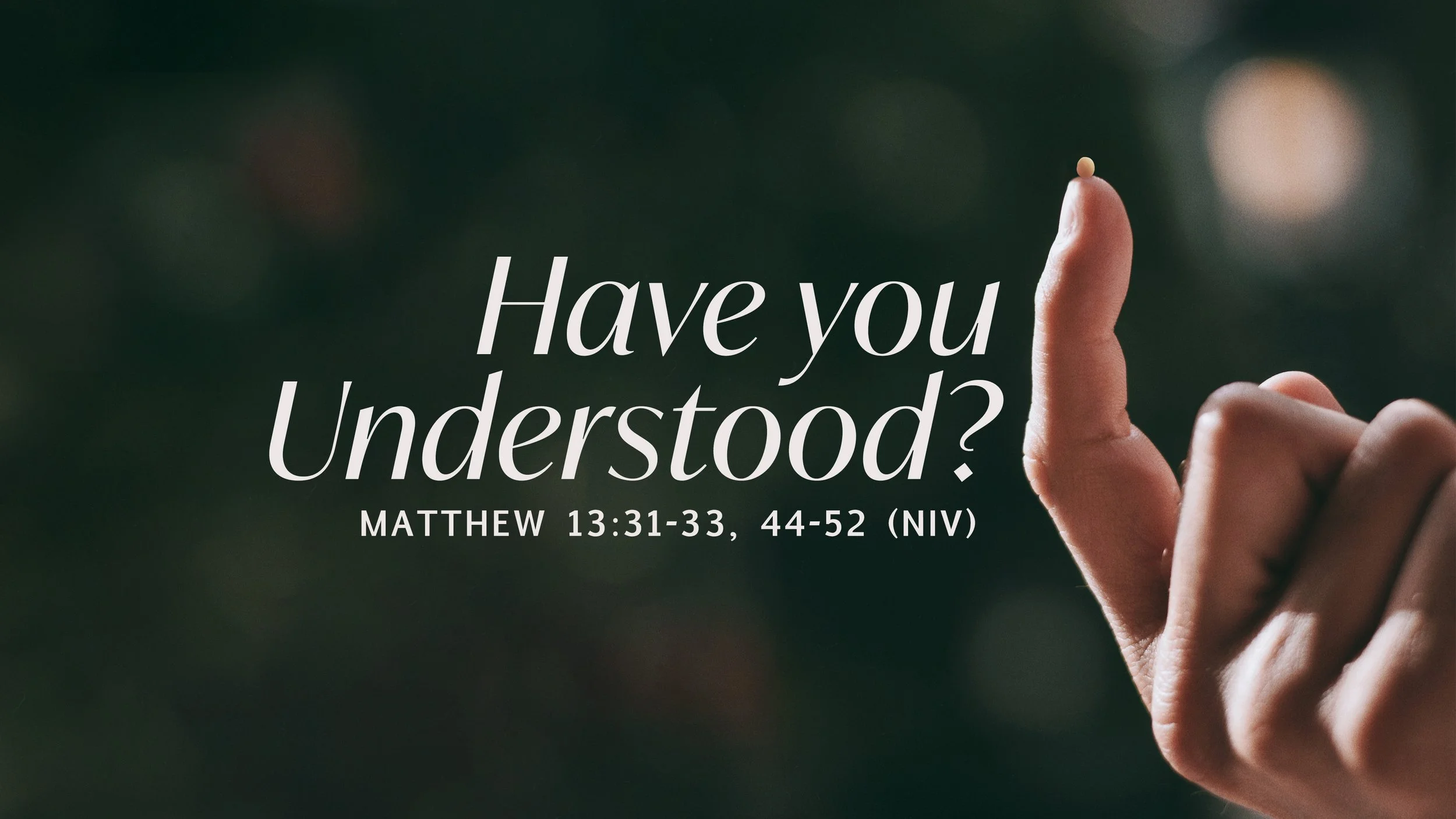 Have You Understood?