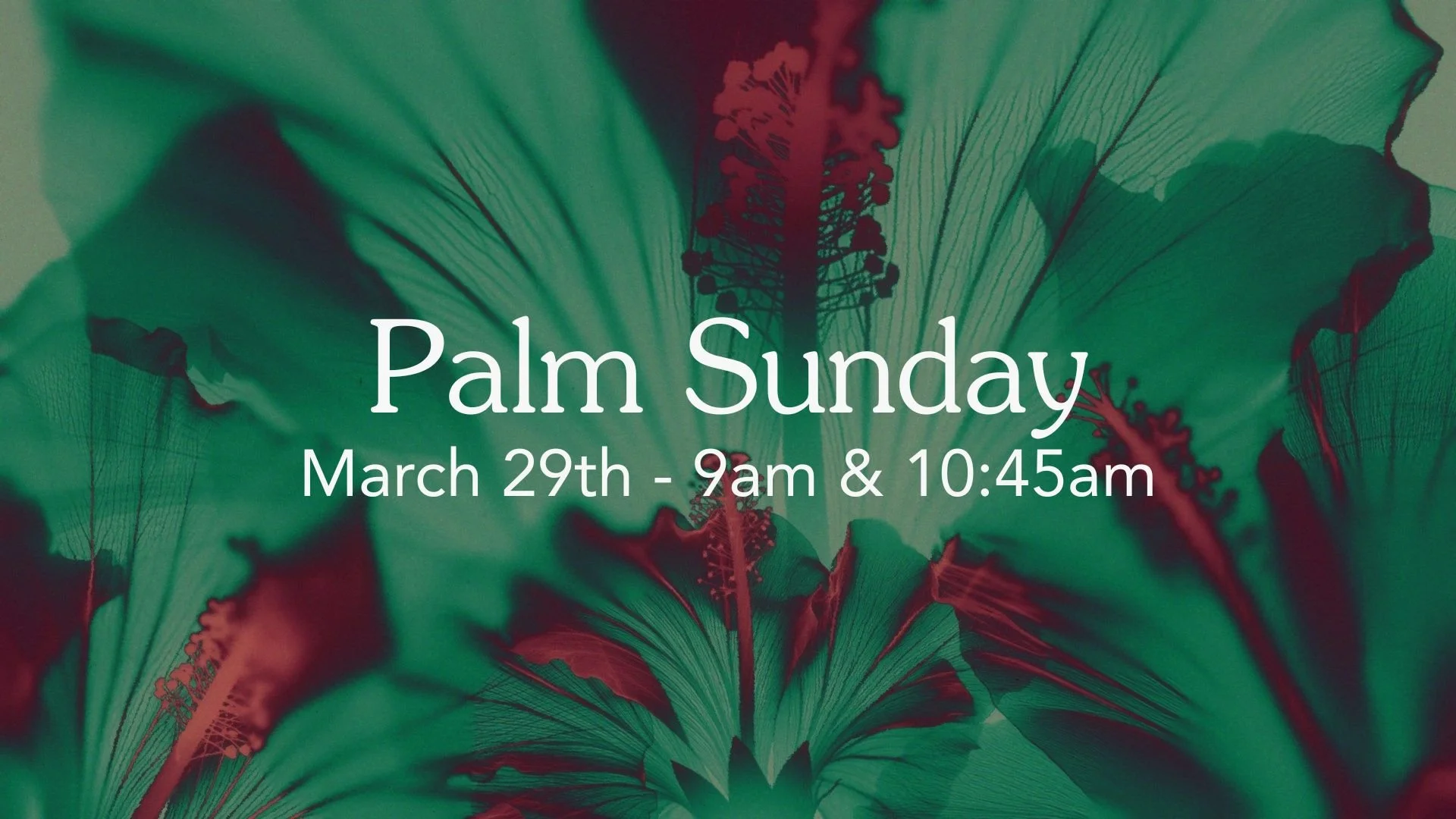 Palm Sunday 2026