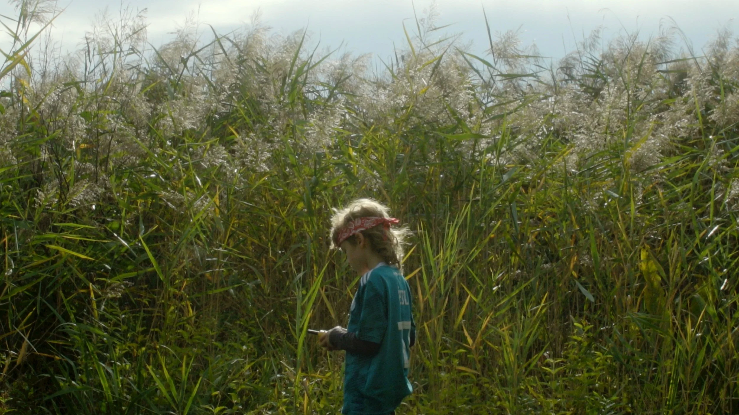 Screen Shot 2021-11-11 at 9.44.29 AM.jpg