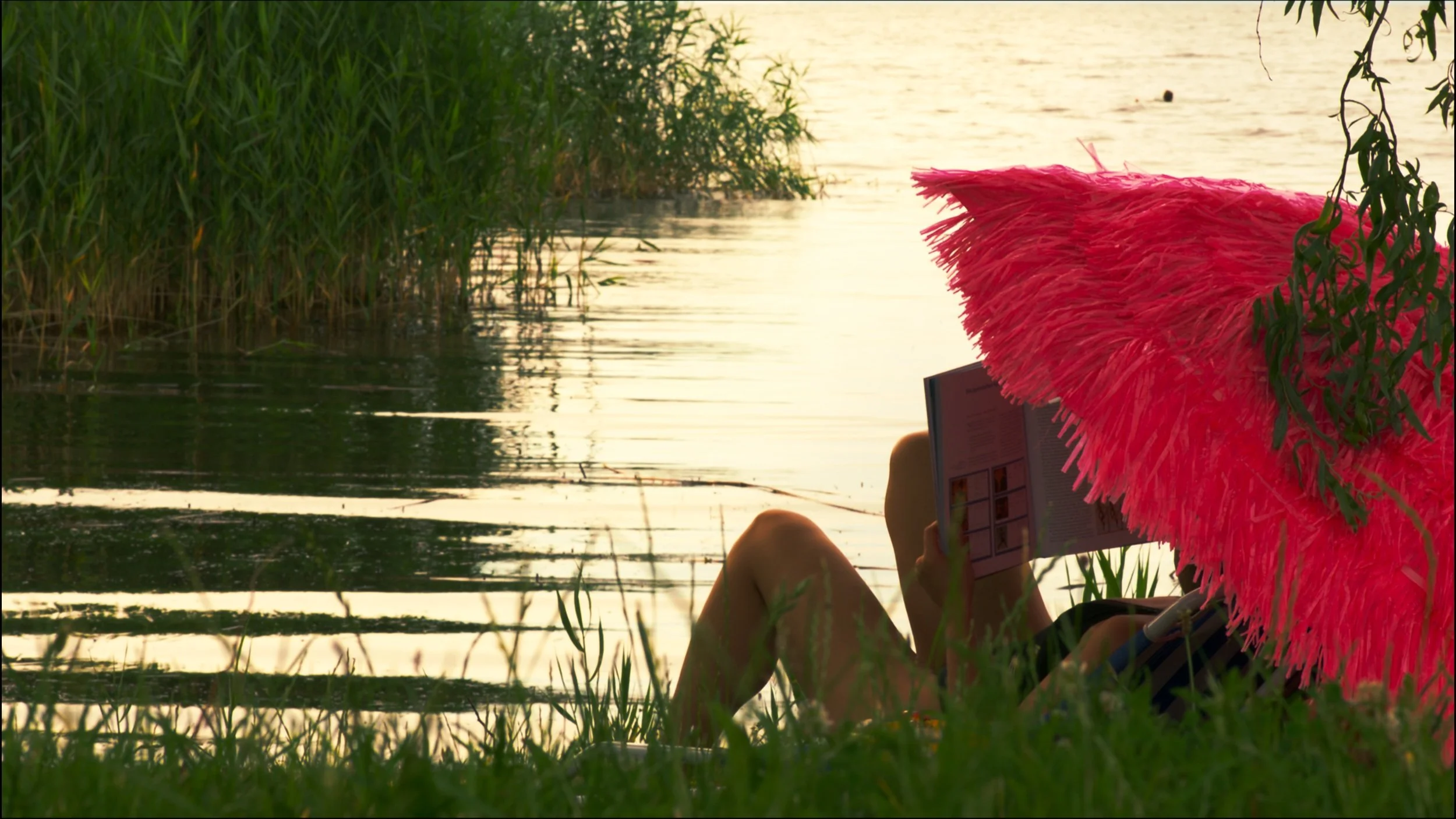 Screenshot 2023-09-07 at 3.55.49 PM.jpg