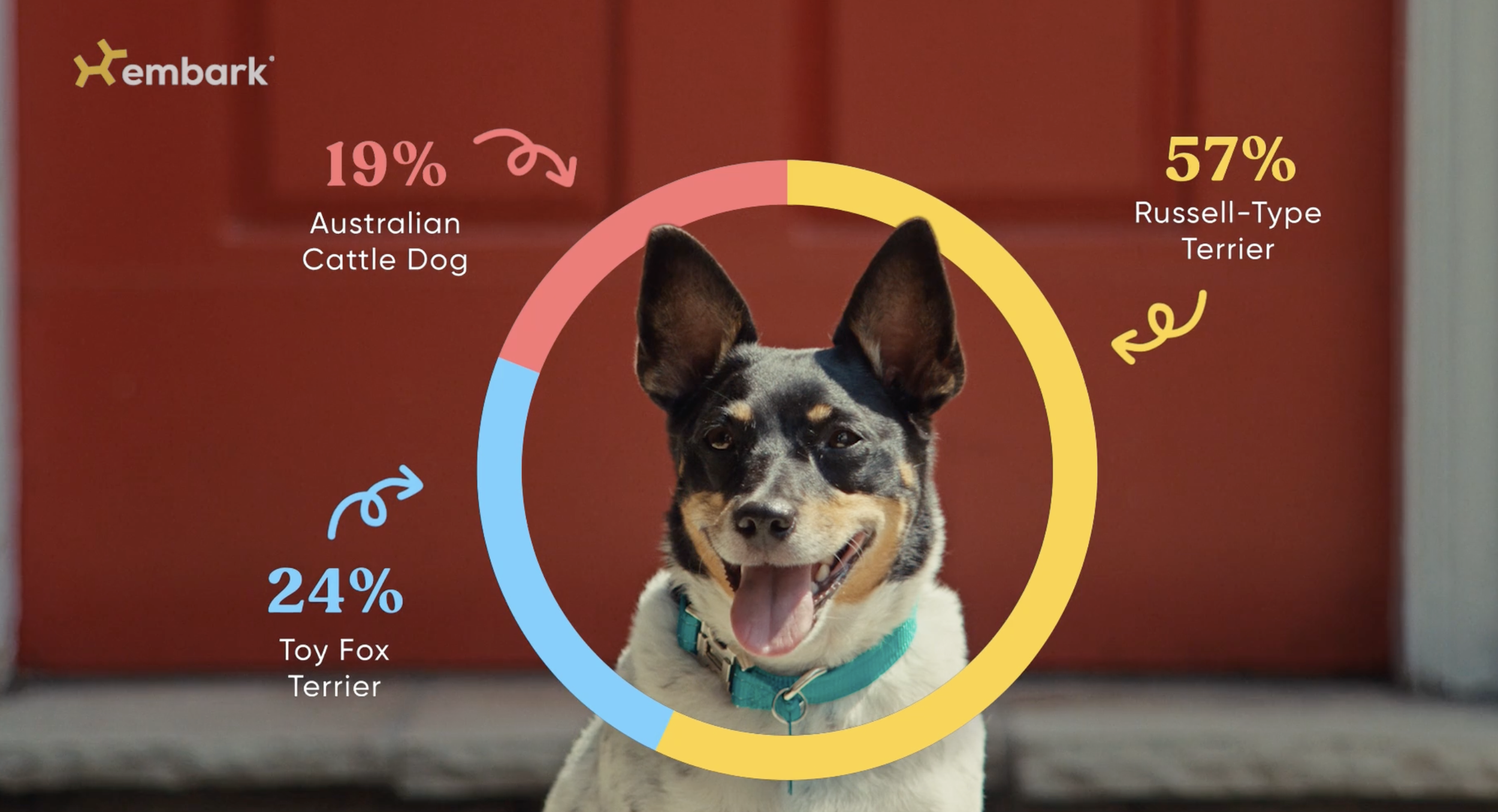Embark - The Weirdo You Love