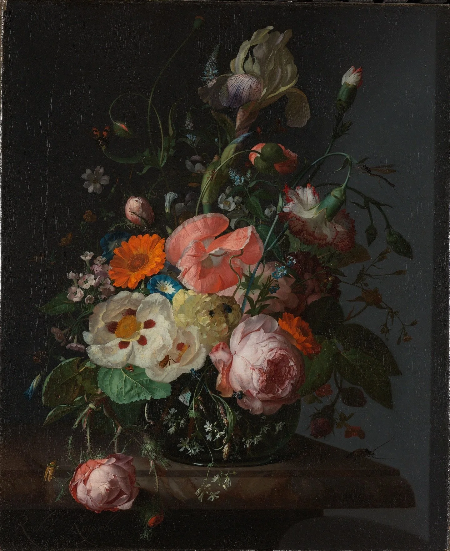 Ante este lienzo de Rachel Ruysch, nuestra mirada se ve atrapada en la abundancia y el detalle. Sobre un tablero de m&aacute;rmol y dentro de un vaso de cristal azul se levanta un ramo imposible: m&aacute;s de diez especies distintas conviven entre s