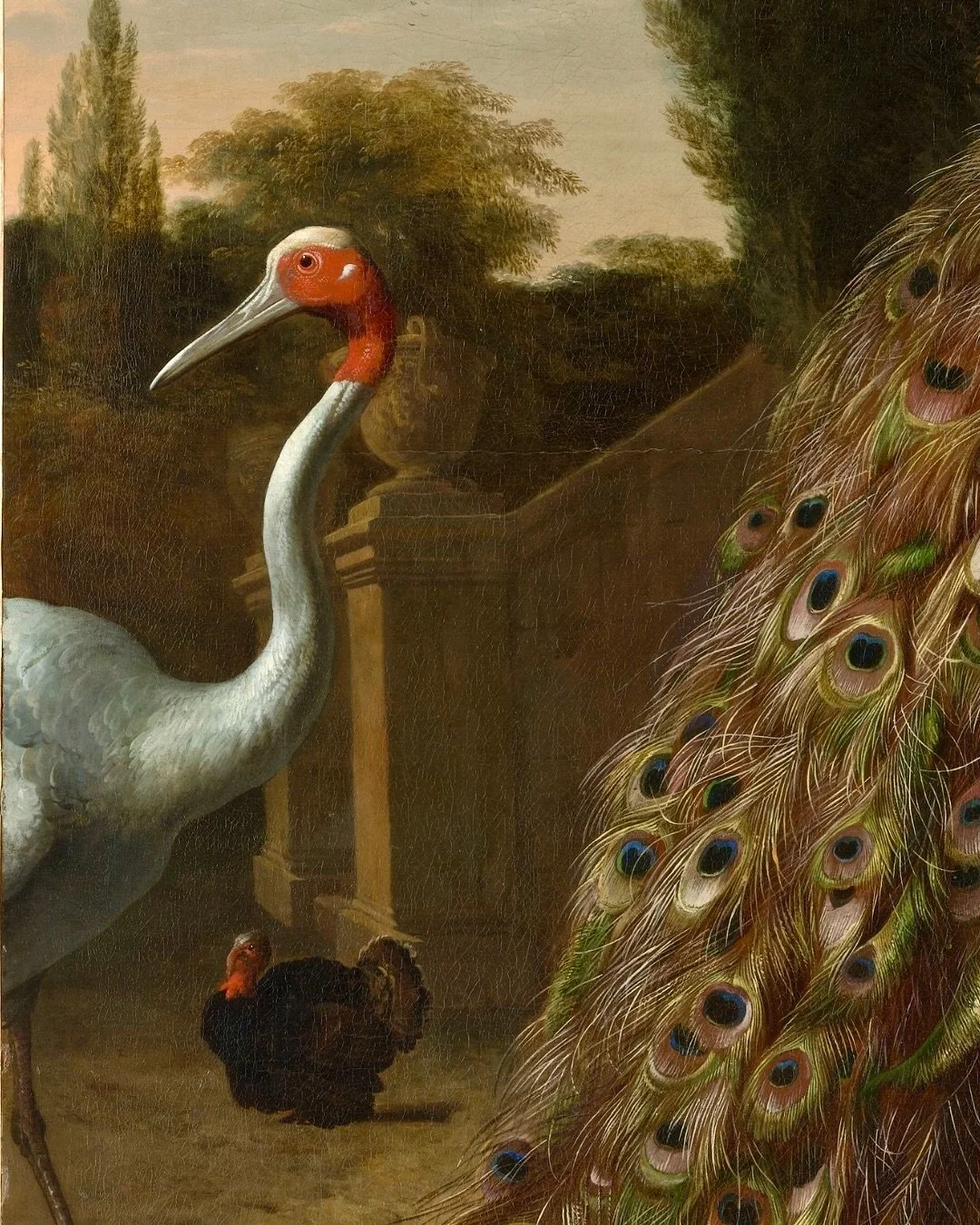 Hoy te traemos la obra de Melchior d&rsquo;Hondecoeter, Peacocks, de 1683. 🎨

La pintura funciona como cat&aacute;logo sensorial. La materia del &oacute;leo, trabajada con veladuras finas sobre capas m&aacute;s opacas, construye la ilusi&oacute;n de