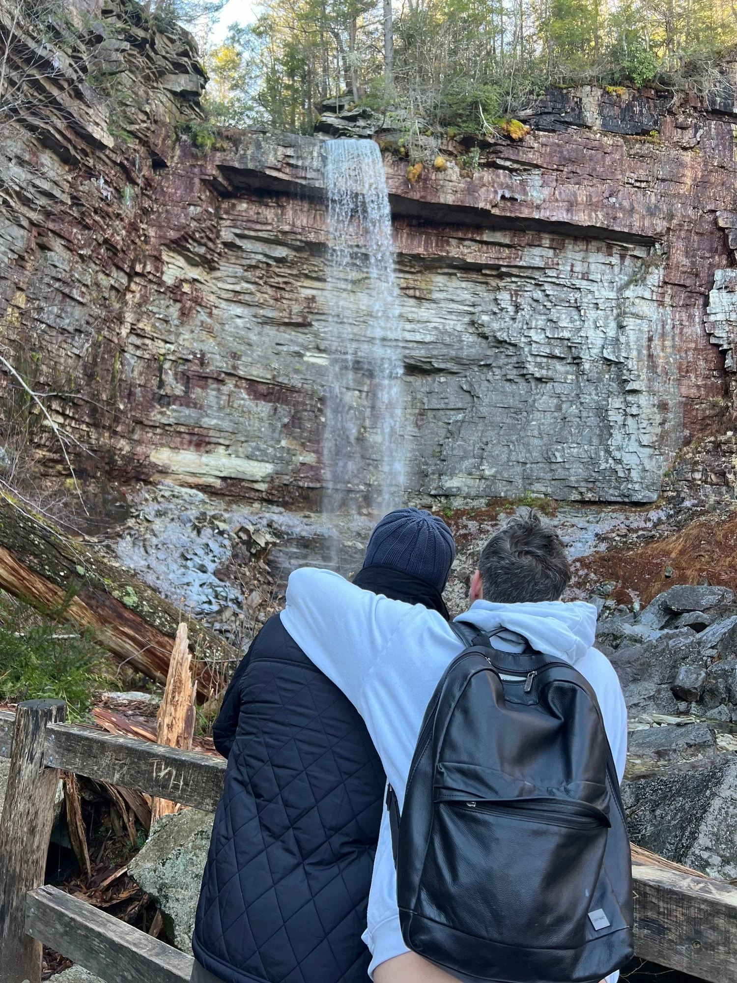 A small group walking slowly along a forest trail in Upstate New York