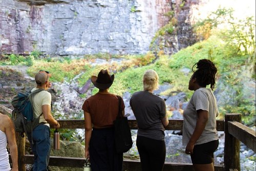 Rooted Vision Retreat — forest immersion